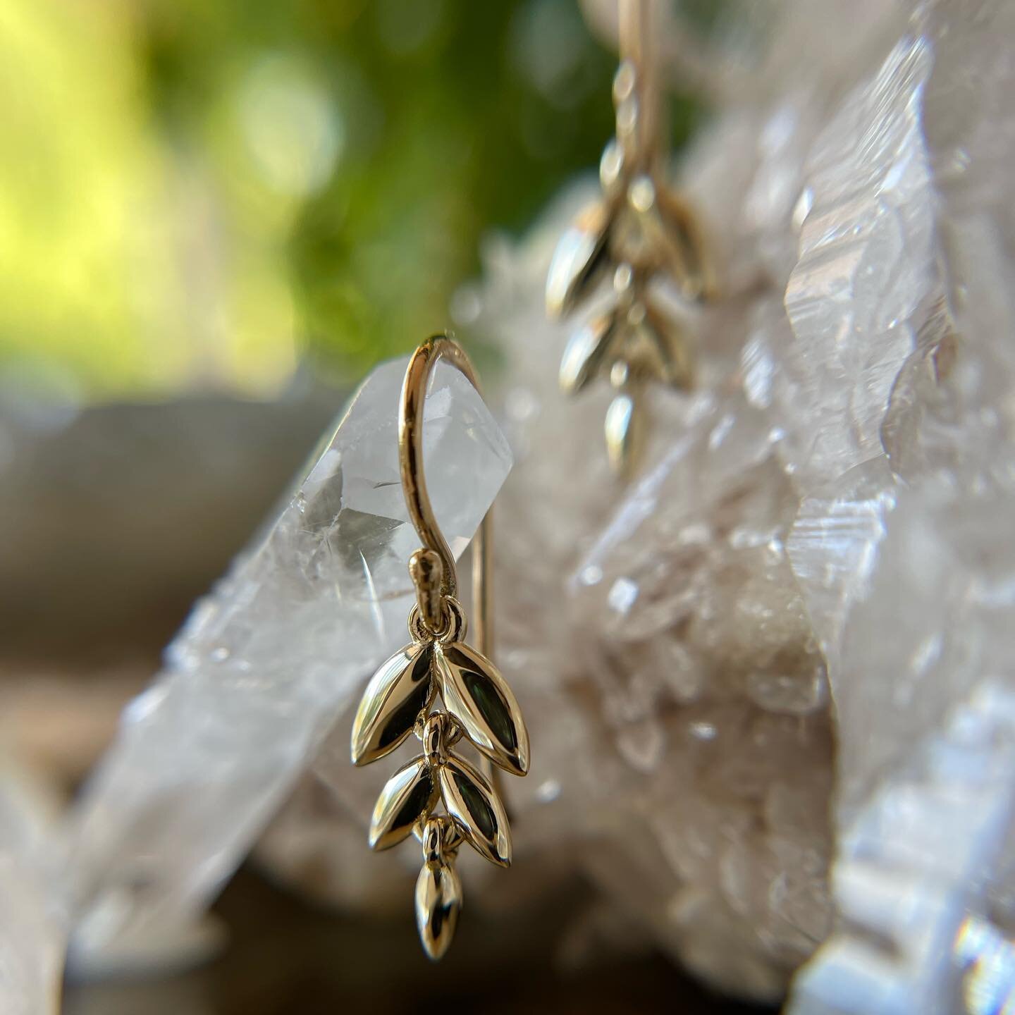 ✨ New Growth ✨
.
.
#magicaljewellery #finejewellery #australianmadejewellery #solidgold #leafearrings #botanicaljewellery #sydneyjewellerydesigner
