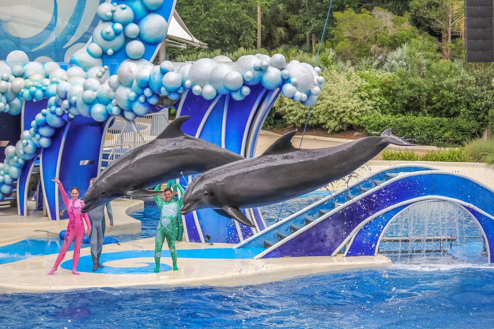 seaworld-header.jpg