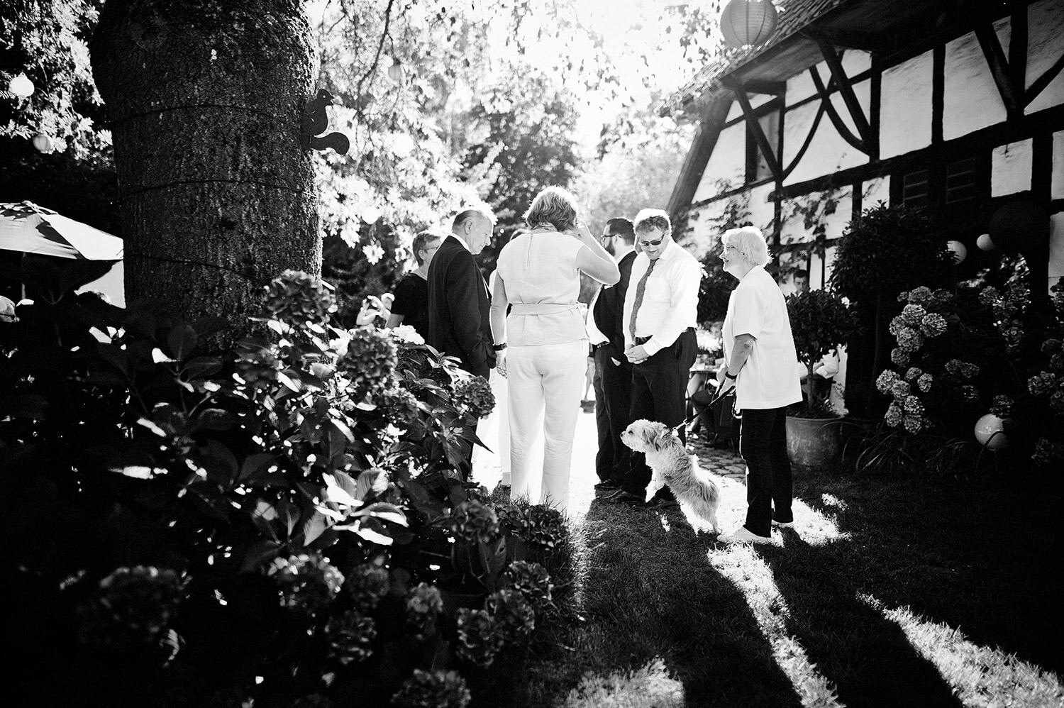 Hochzeitsgäste feiern im Garten