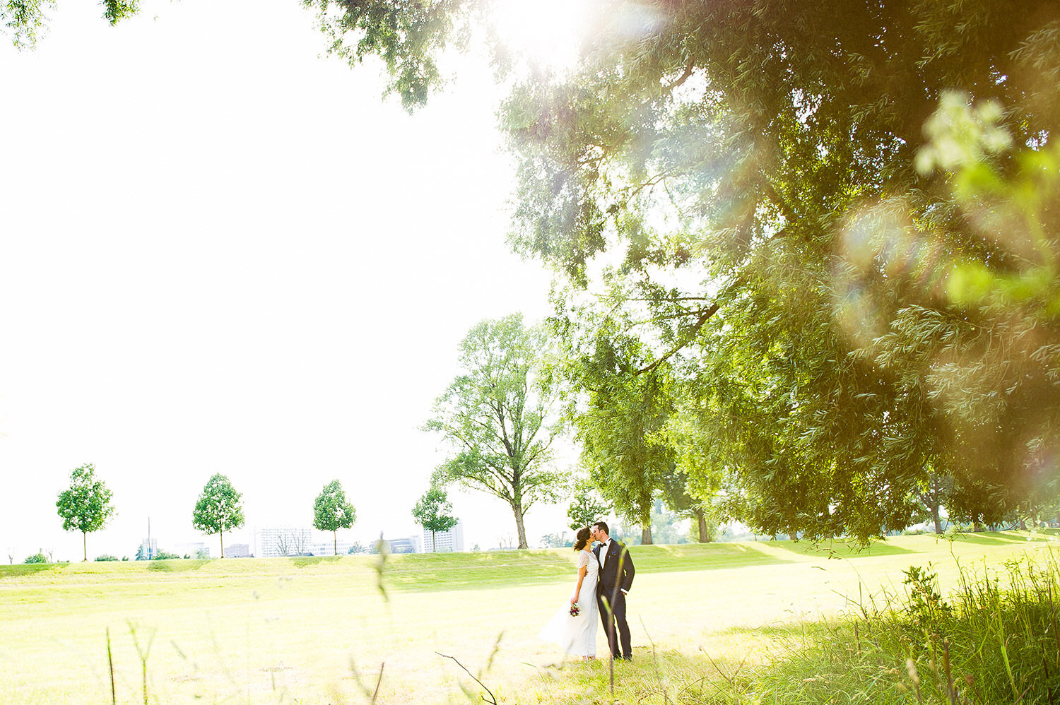 Braut und Bräutigam küssen sich in einem Feld
