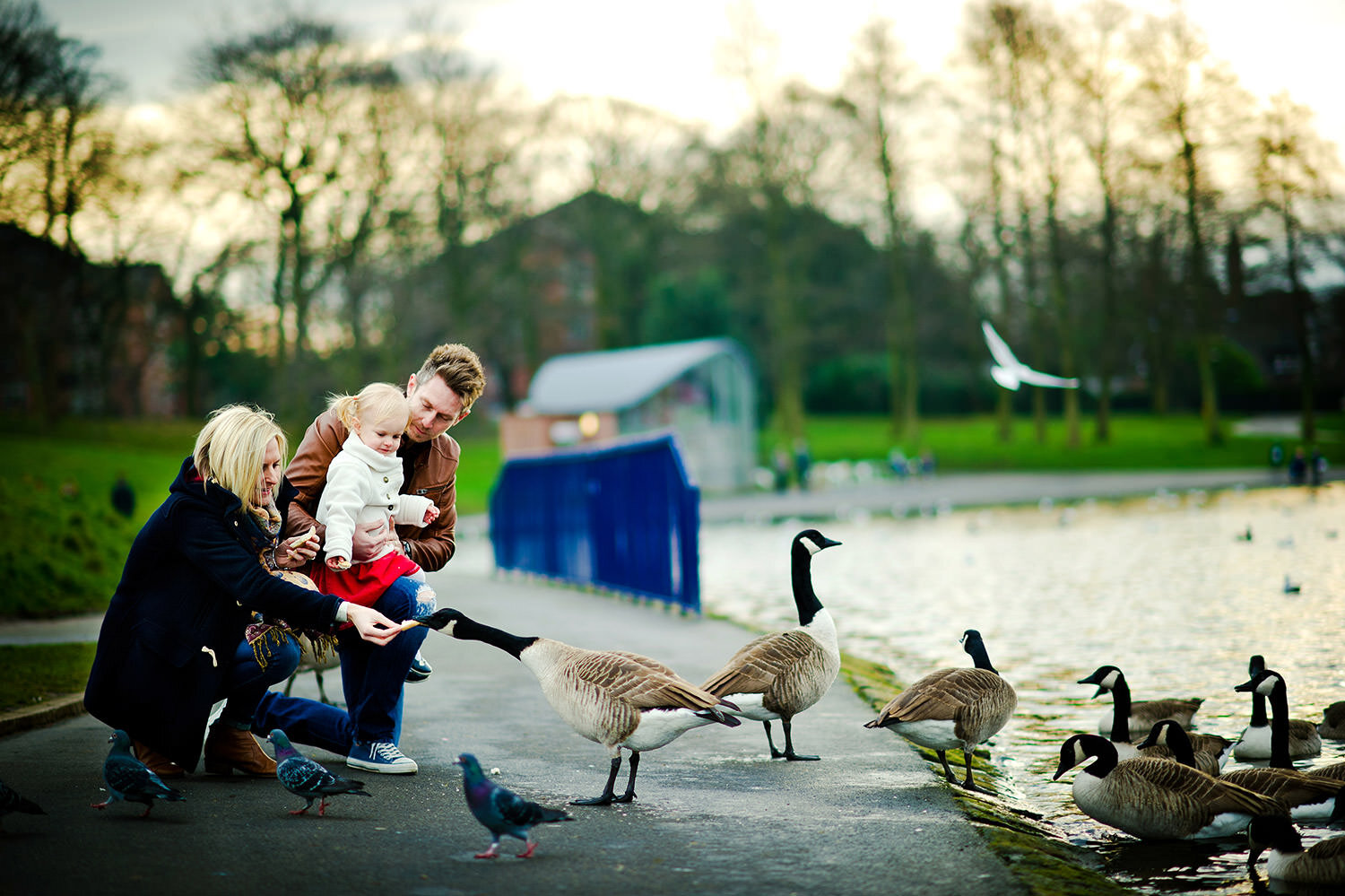 Familienfoto Familie füttert die Enten