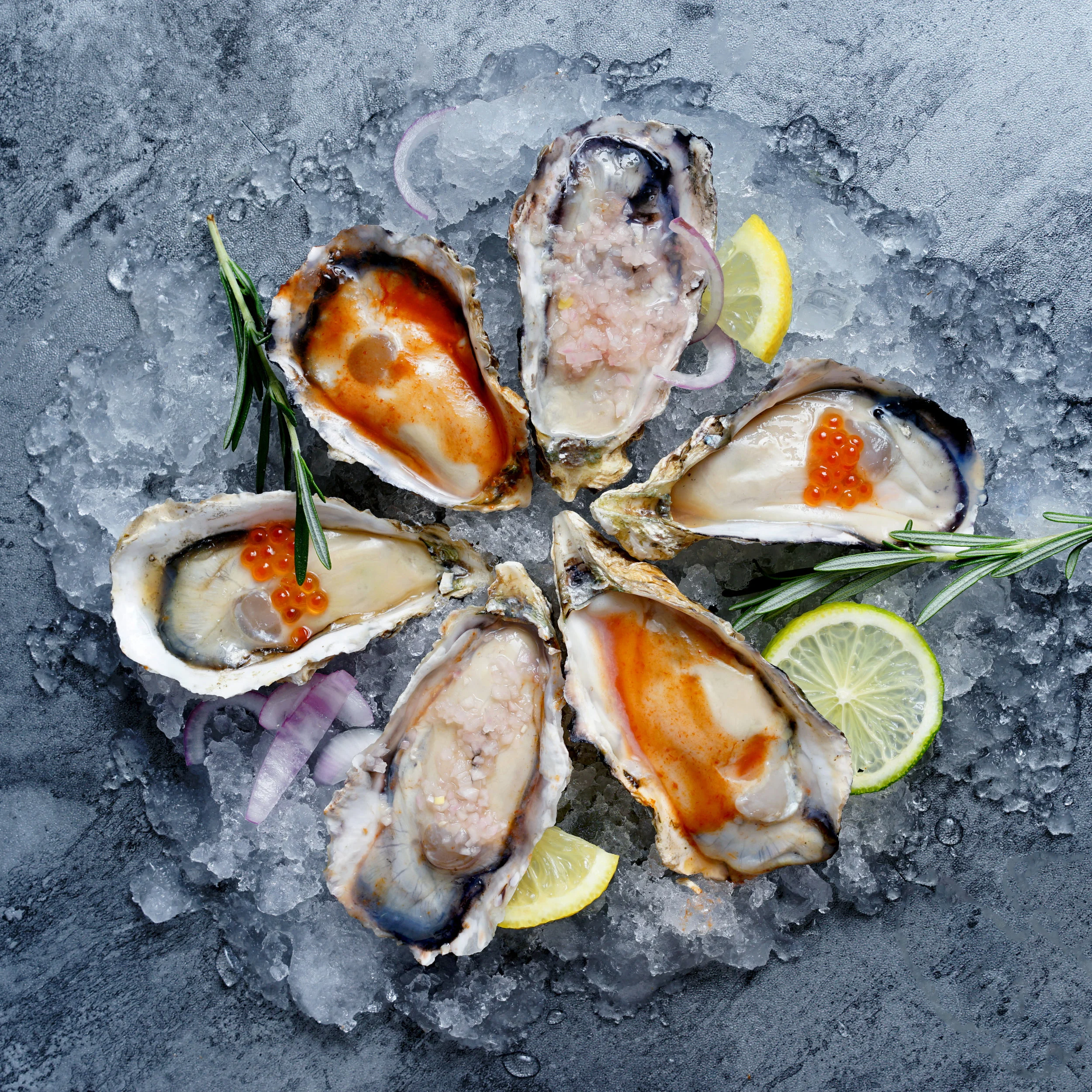 THE OYSTER BANK