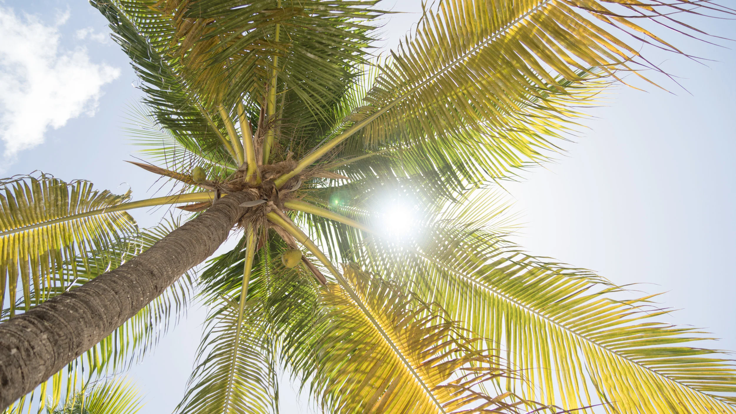 Board of Florida Keys Mosquito Control District Approves Investigational Agreement for Effectiveness Trial of Oxitec’s Friendly™ Mosquitoes in Monroe County, Florida