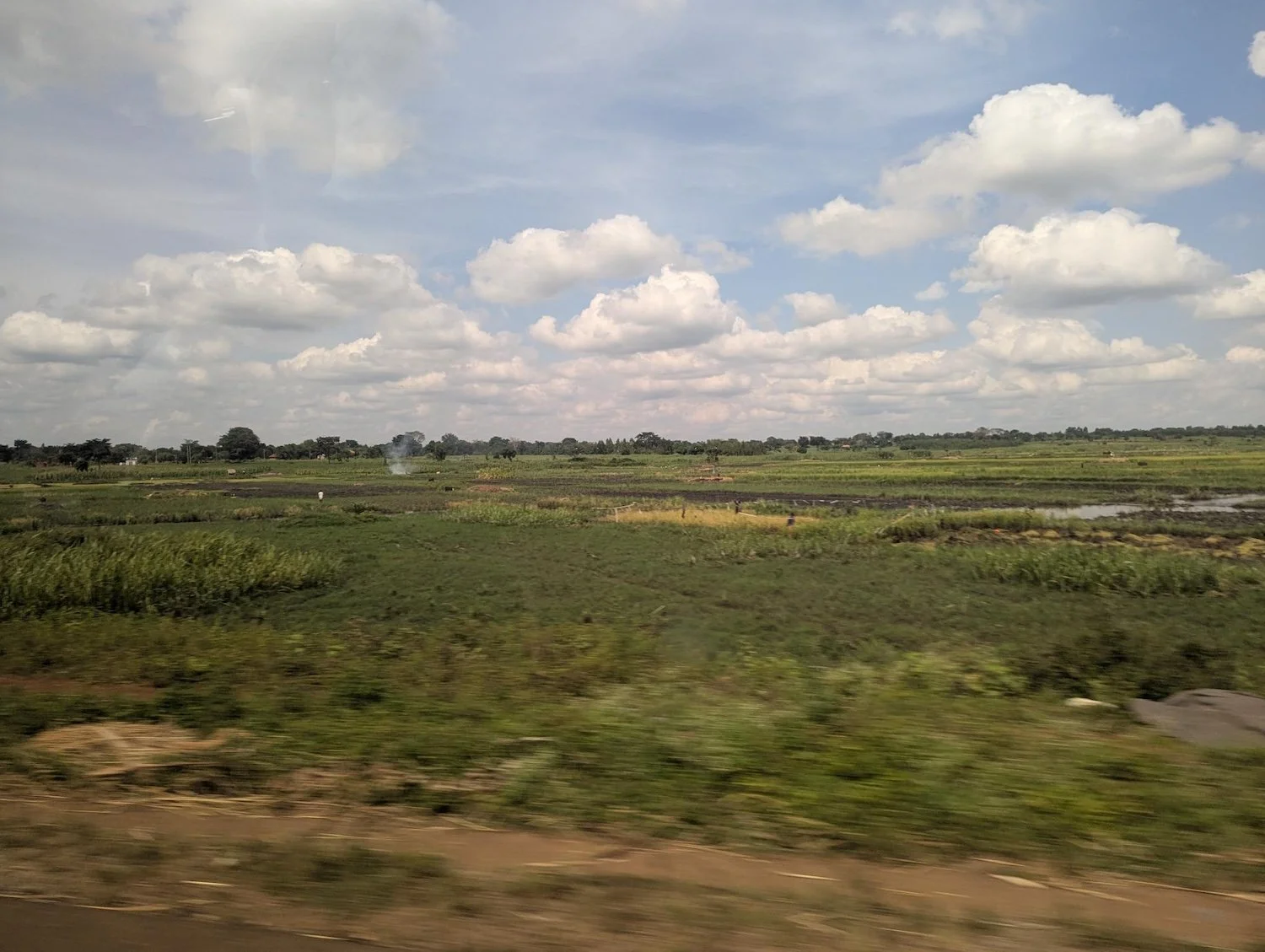 shared image (31).jpg