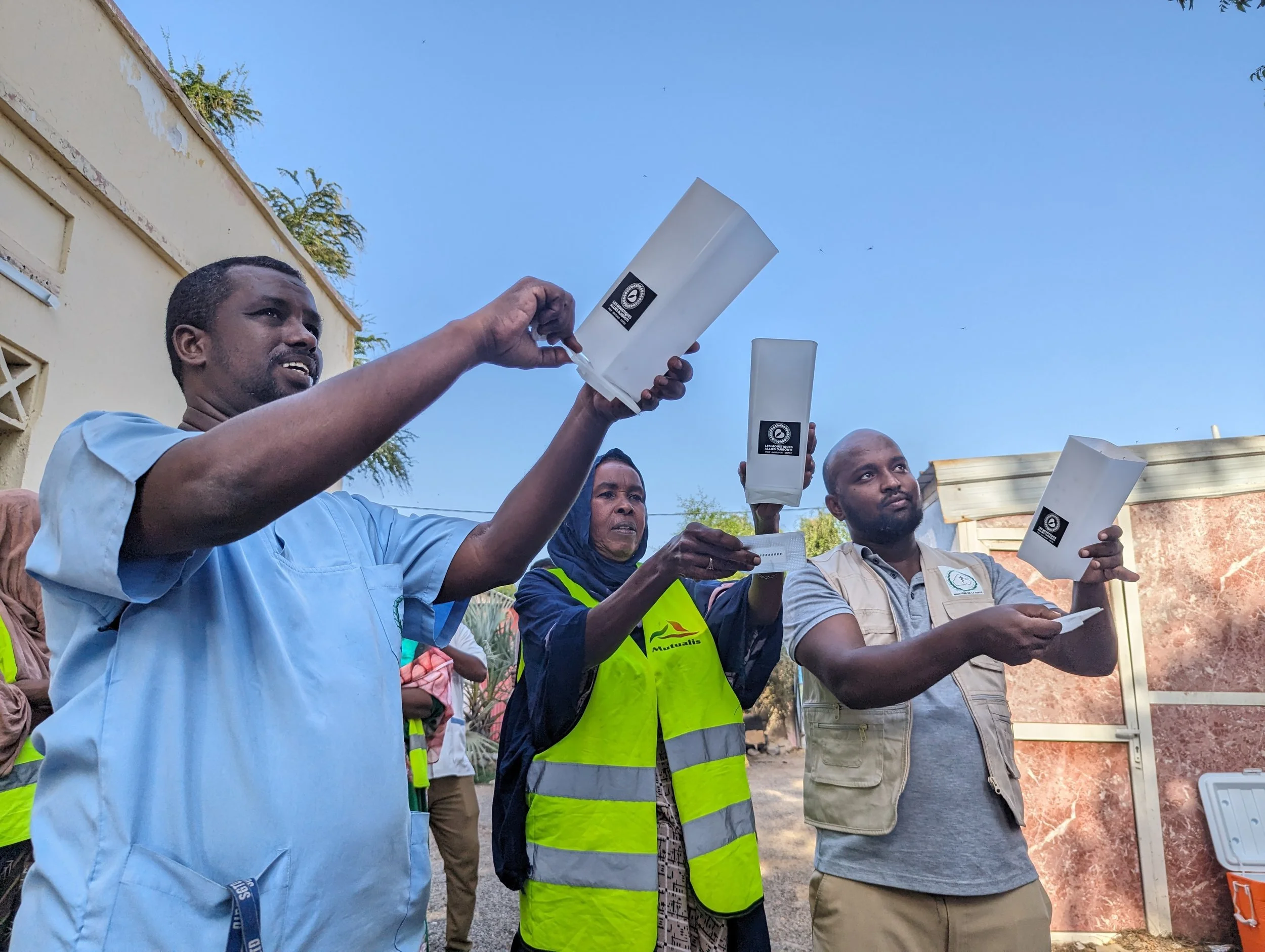 Djibouti Advances the Fight Against Malaria with Launch of First Full Pilot Season of Friendly™ Mosquitoes in Africa, Targeting the Invasive Anopheles stephensi 