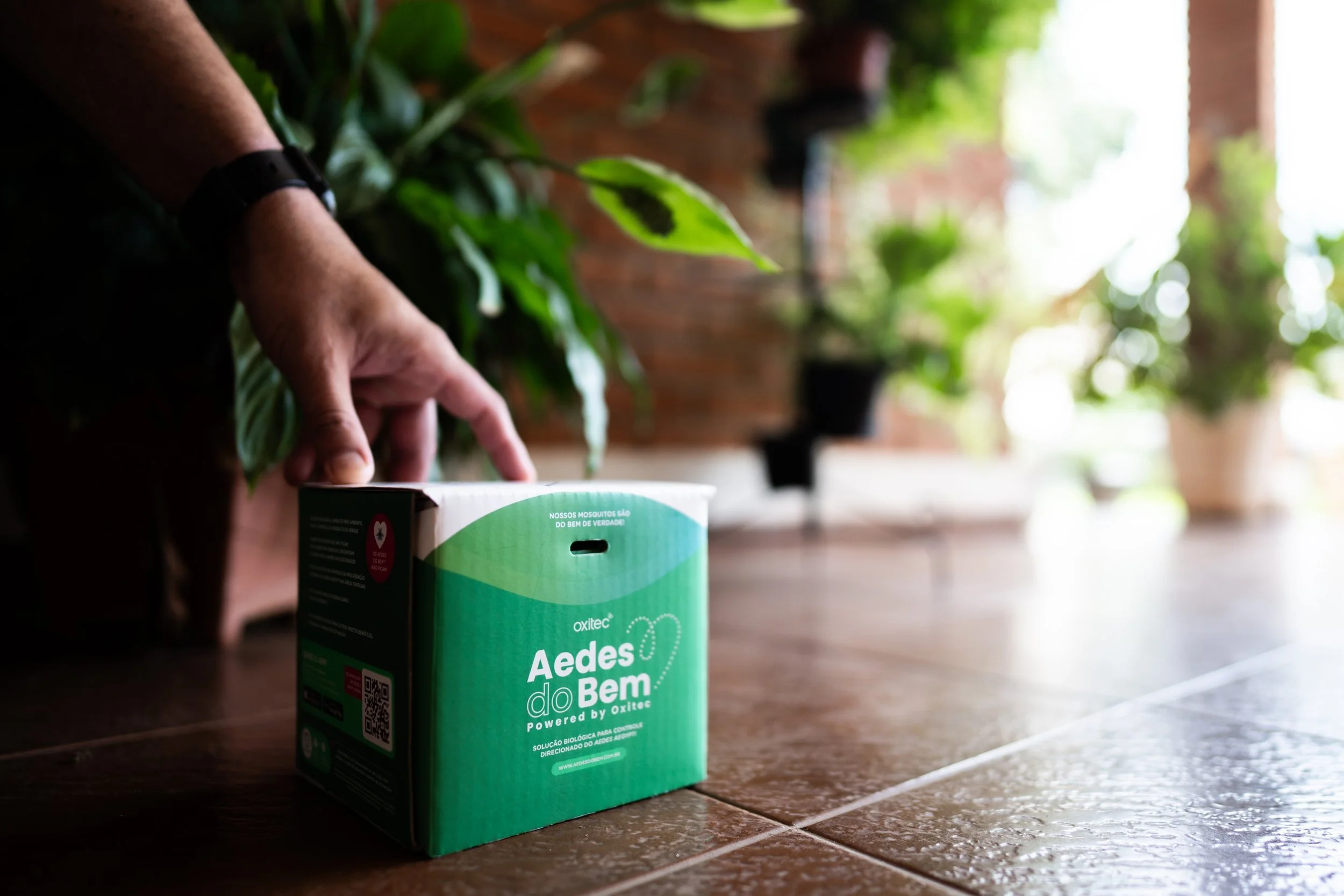Oxitec and Orkin Enter into National Partnership to Combat Dengue-Spreading Mosquitoes with Friendly™ Aedes aegypti Solutions