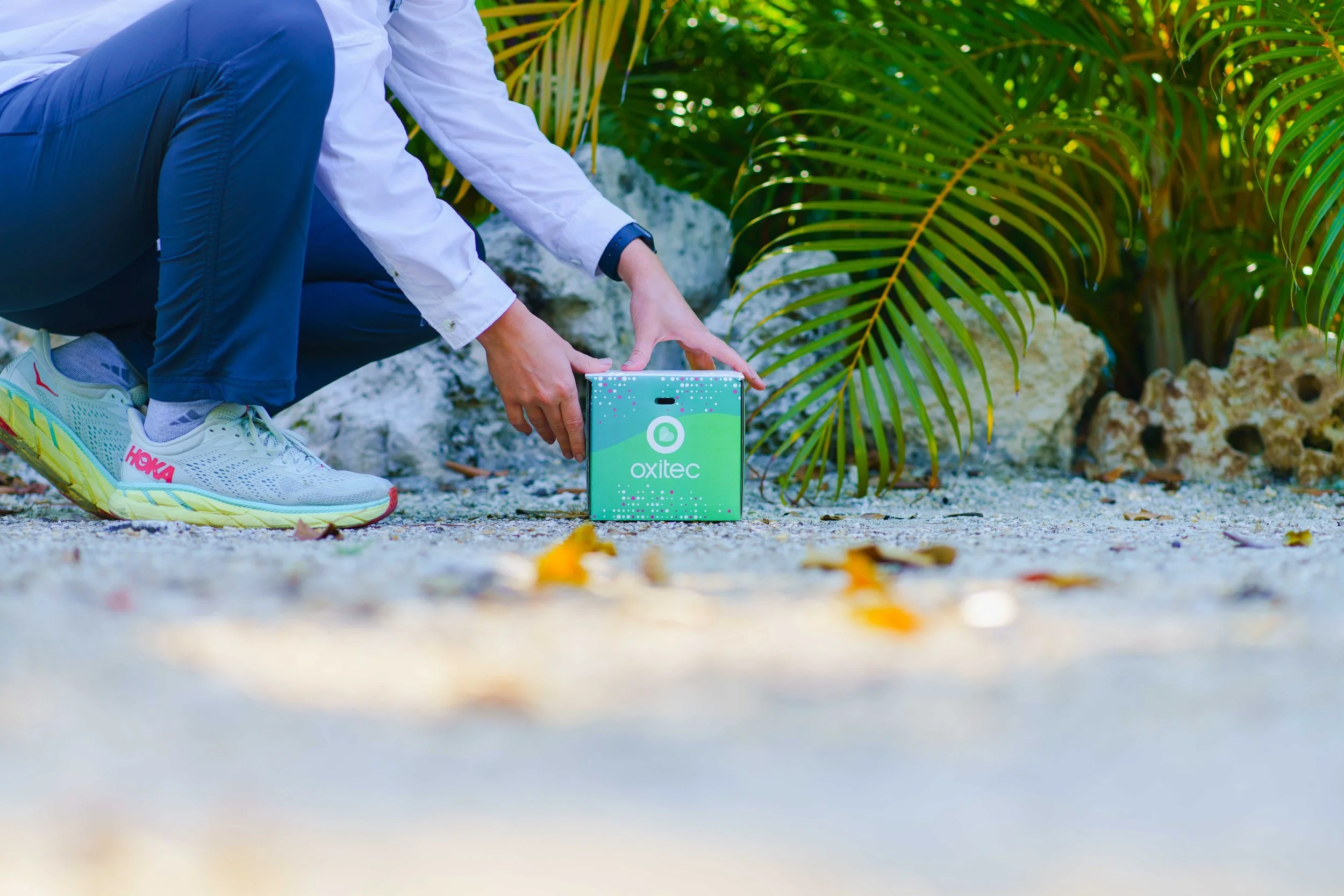 Florida Keys Mosquito Control District and Oxitec Announce Plans for the 2024 Mosquito Project Season 