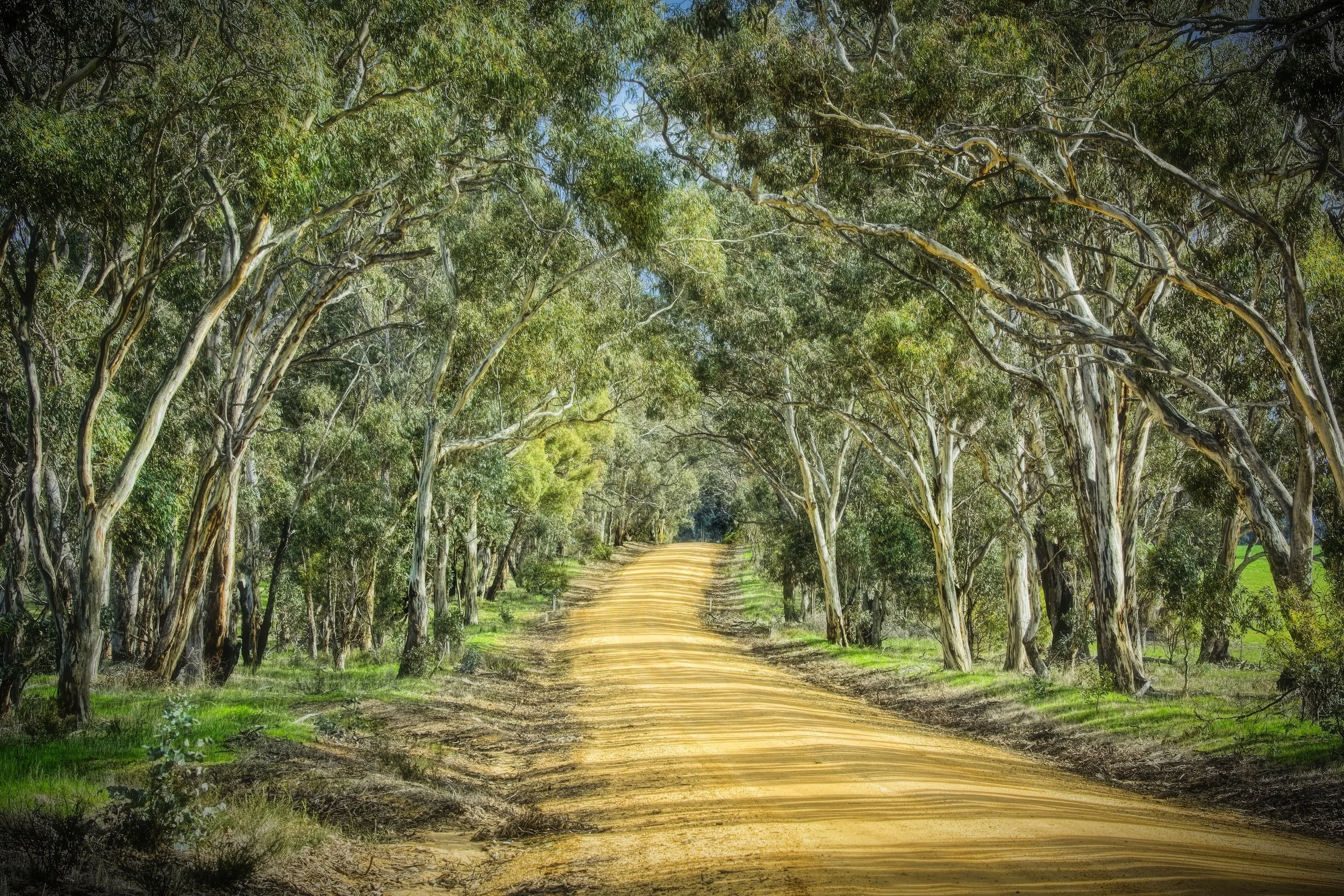 Oxitec Partners with CSIRO, Australia’s National Science Agency, to Launch Development of a Friendly™ Solution for the Invasive, Dengue-Spreading Asian Tiger Mosquito