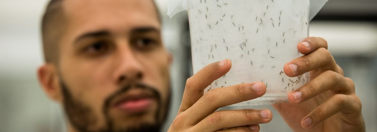 The Municipality of Santiago de Cali, Colombia, and Oxitec Ltd. announce memorandum to deploy Friendly™ Aedes