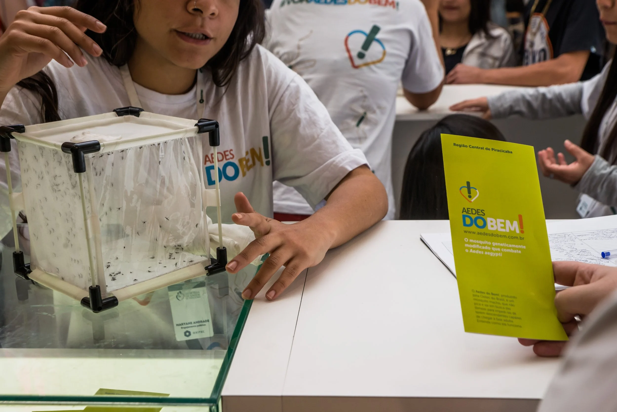 Oxitec’s Friendly™ Aedes achieves 81% suppression of wild Aedes aegypti in CECAP/Eldorado, Piracicaba, in second year of project