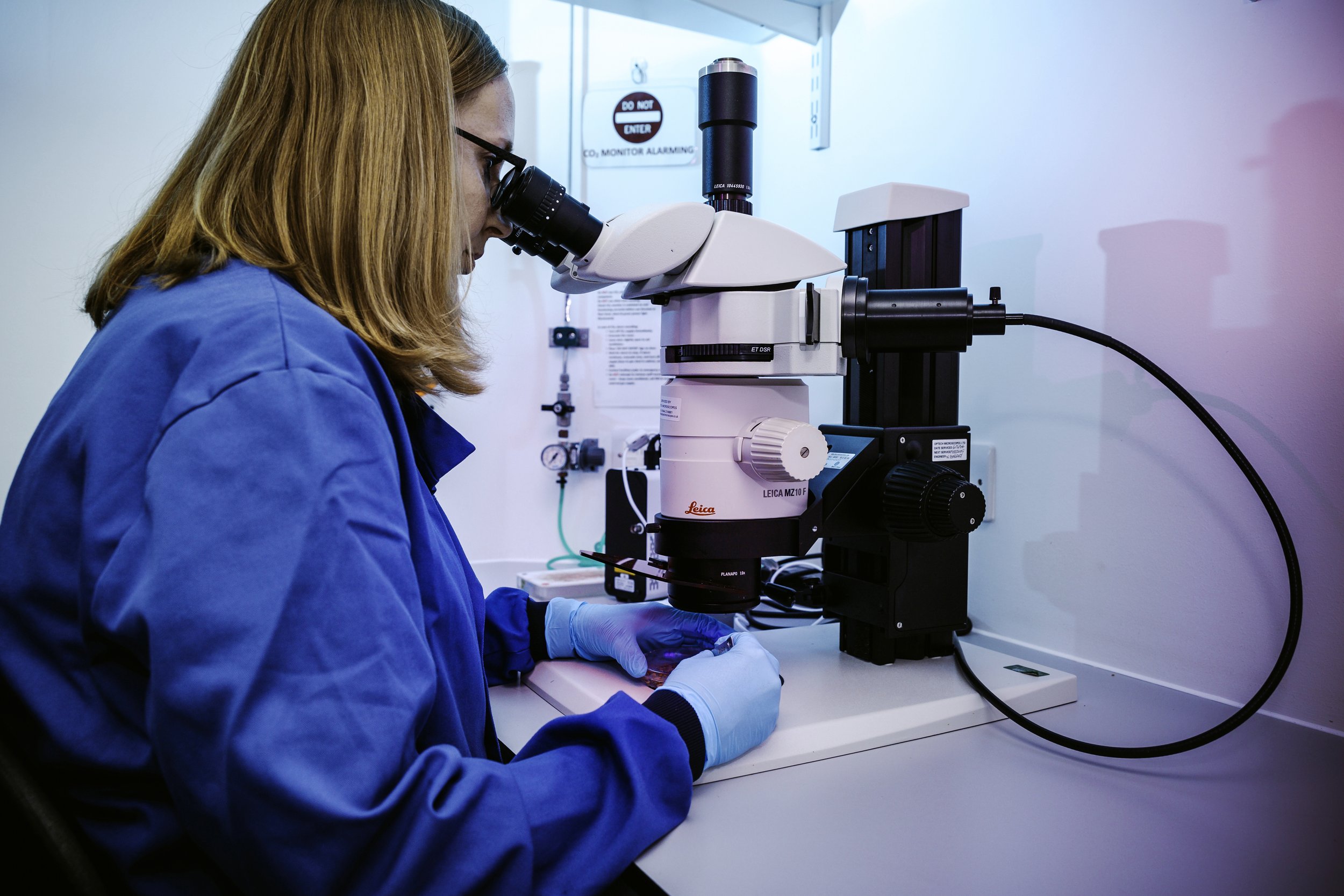 Oxitec and Orkin Enter into National Partnership to Combat Dengue-Spreading Mosquitoes with Friendly™ Aedes aegypti Solutions