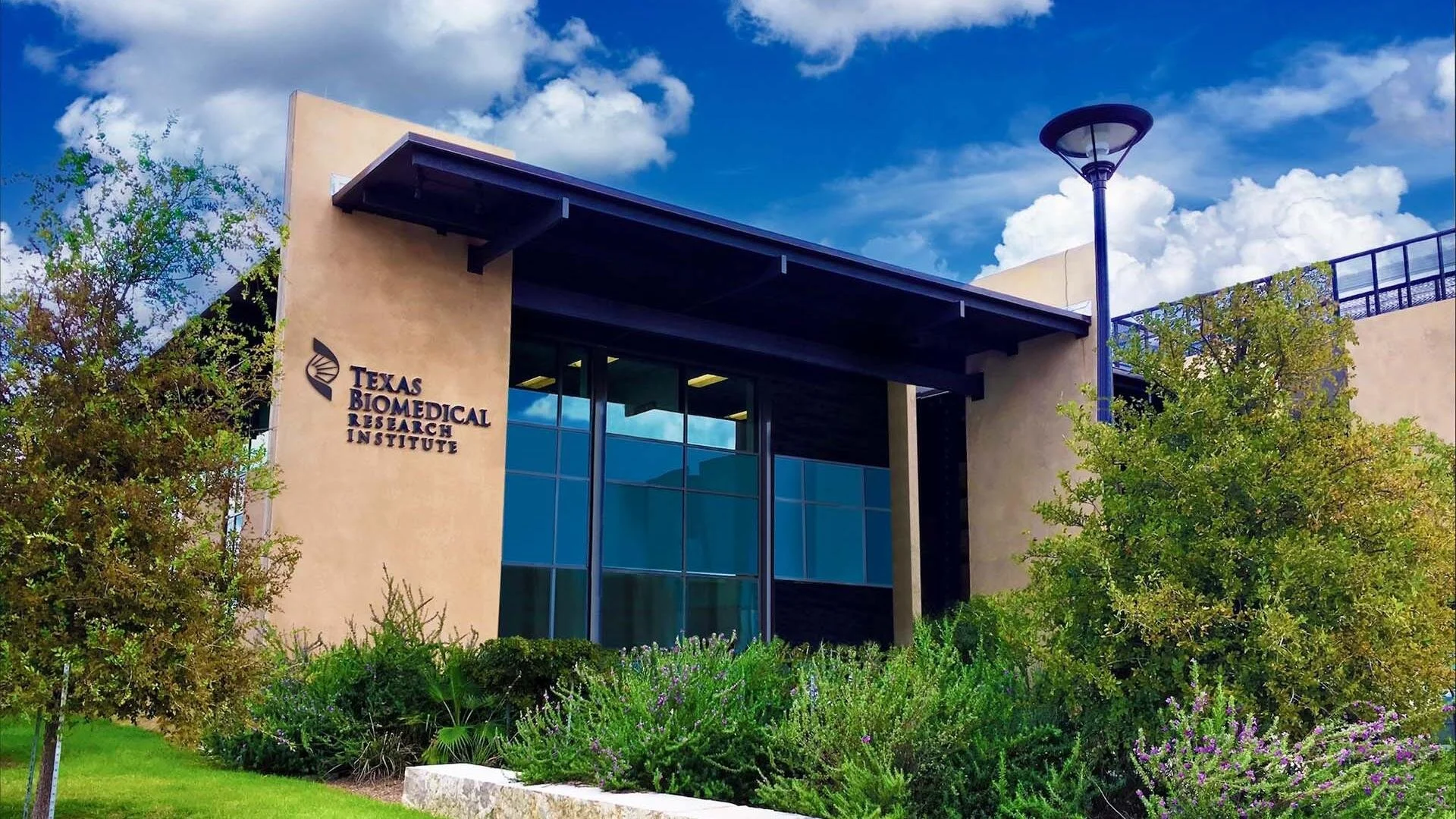 Texas Biomed and Flyttr partner to advance next-generation solutions for the invasive New World screwworm 