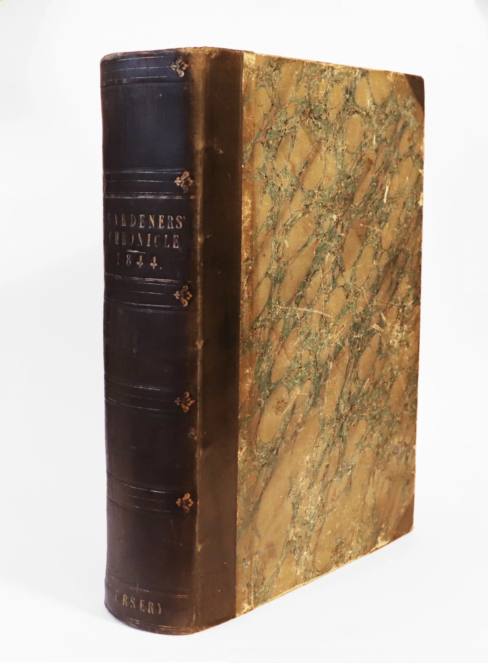 Darwin_1844_1.JPG