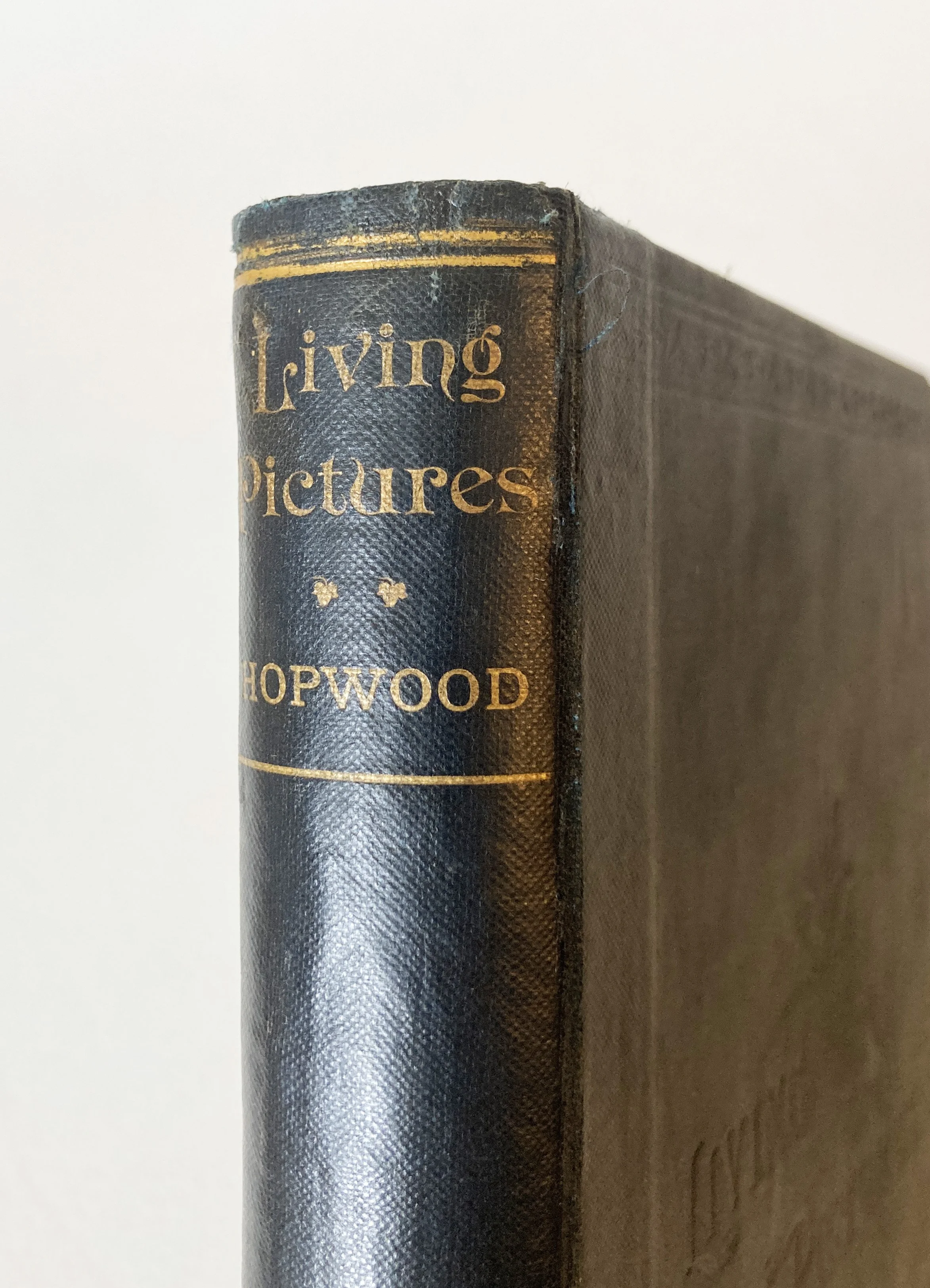 Hopwood Living Pictures 1.JPG