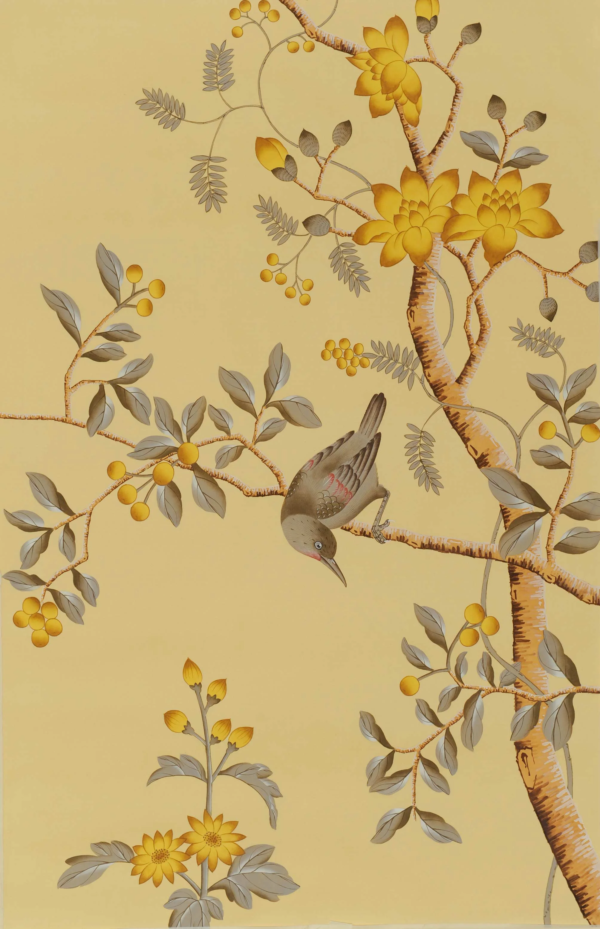 Soleil-C001.jpg