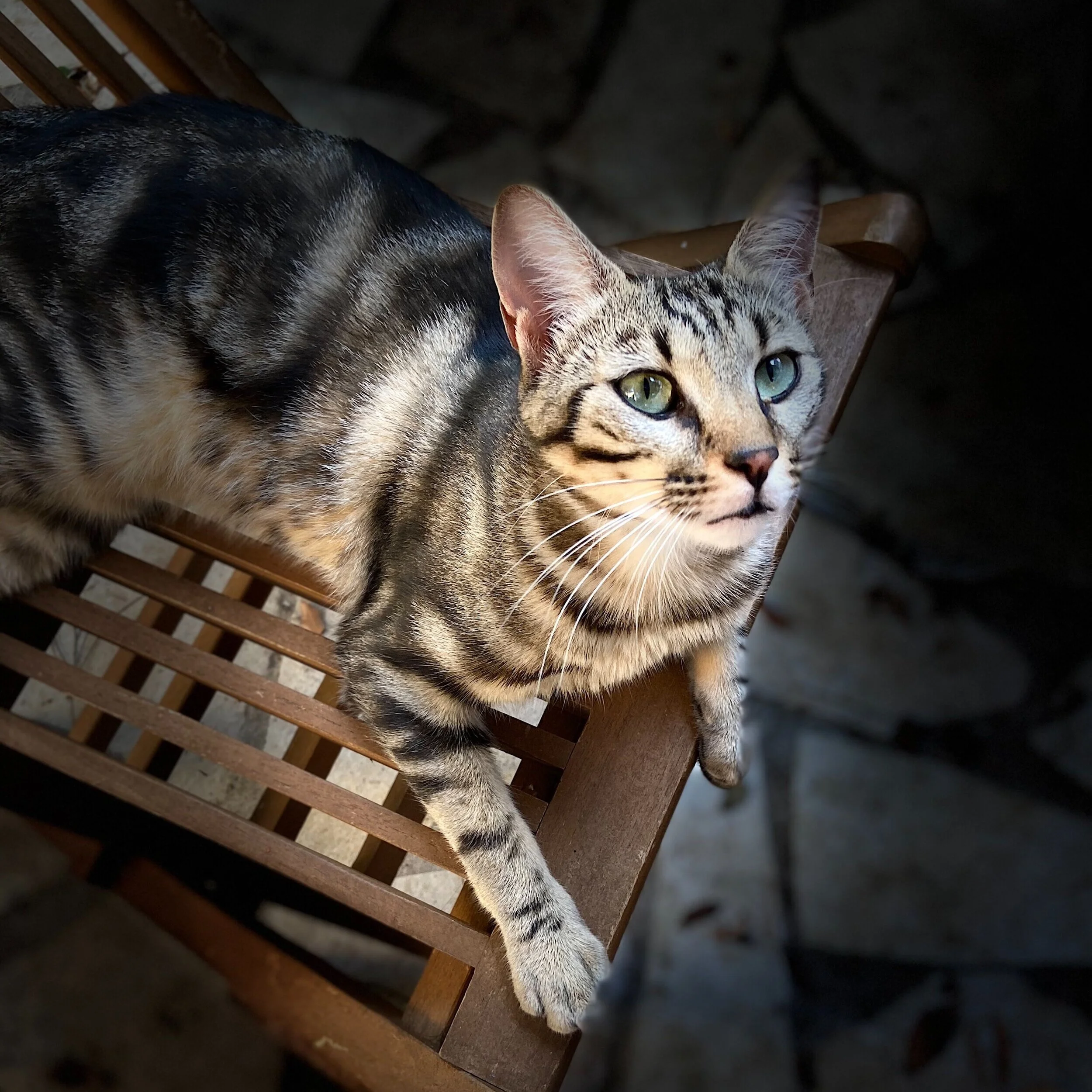 Être bien accompagné