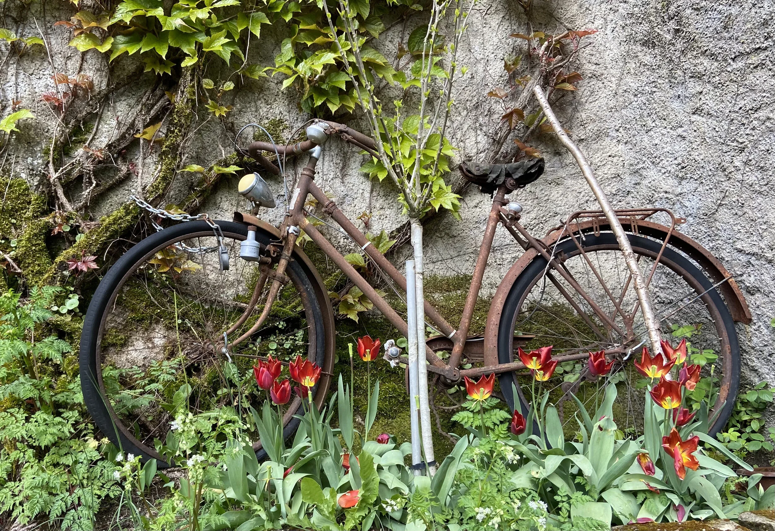 Des bases solides pour se développer, évoluer, améliorer, innover et durer