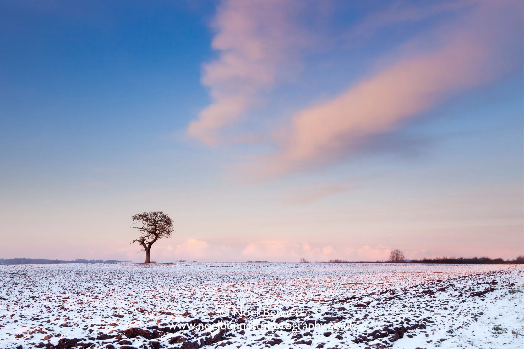Sky Blue Pink