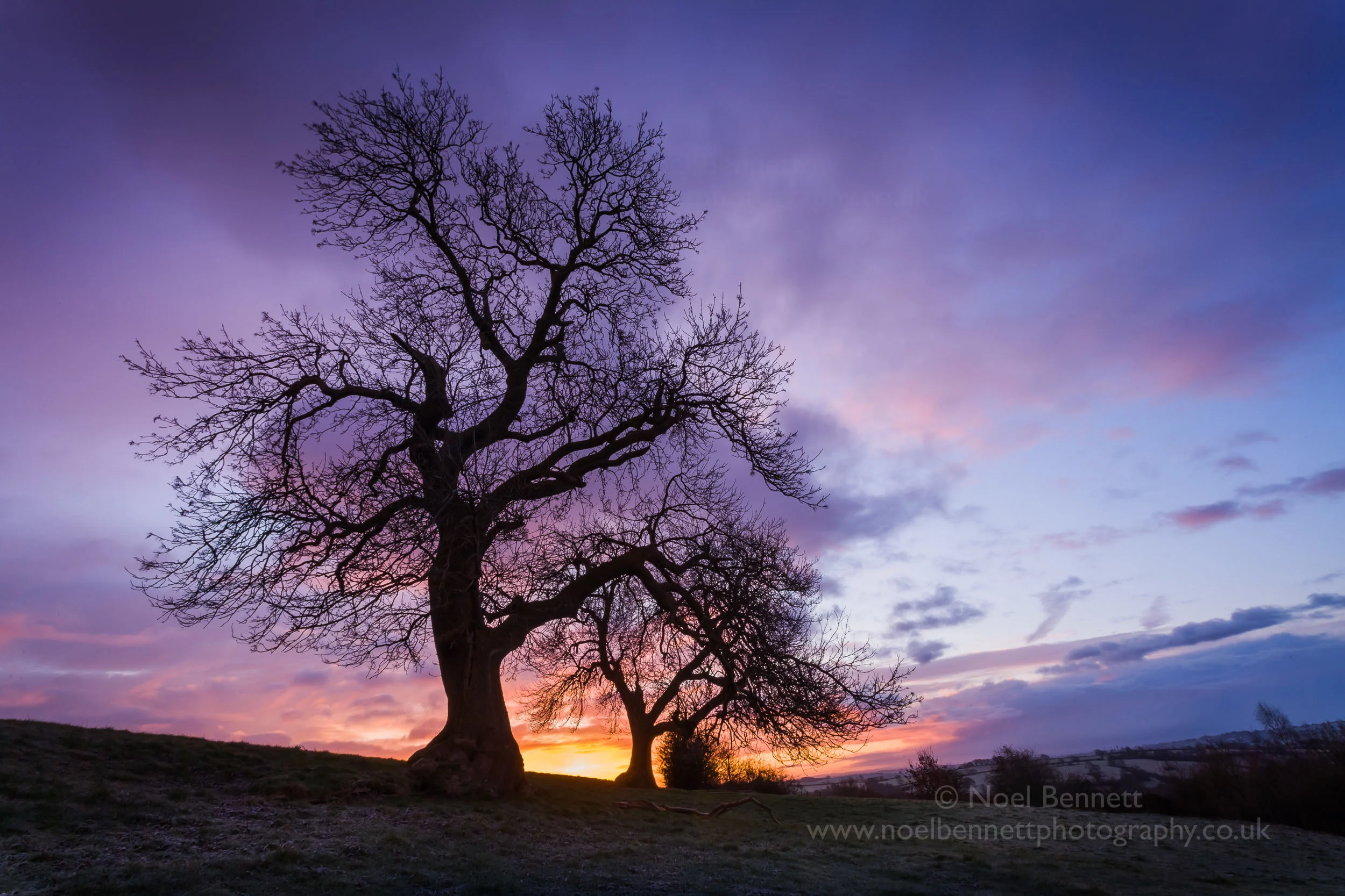 Dawn Over Oulton Heath