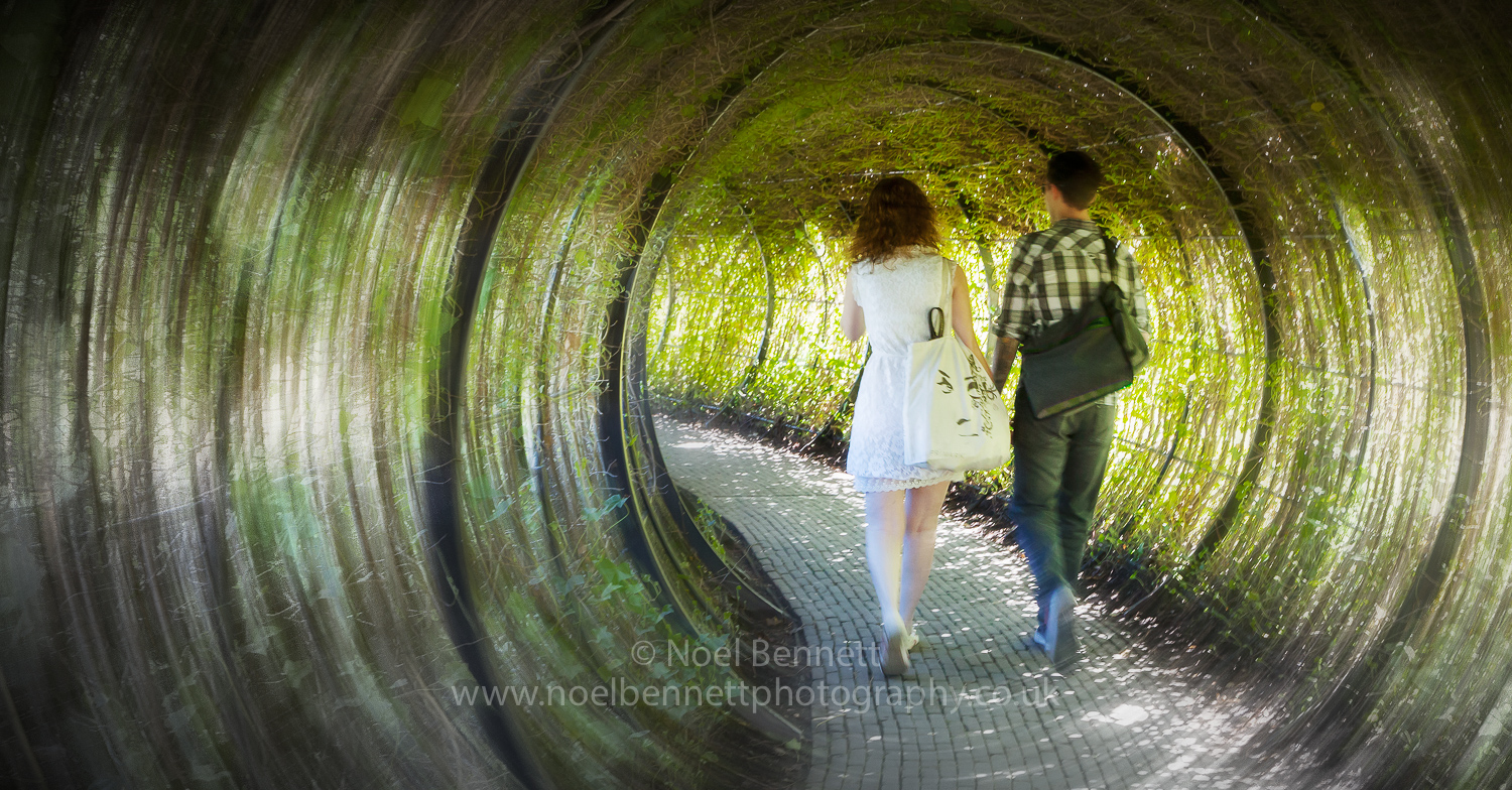 Tunnel Of Love