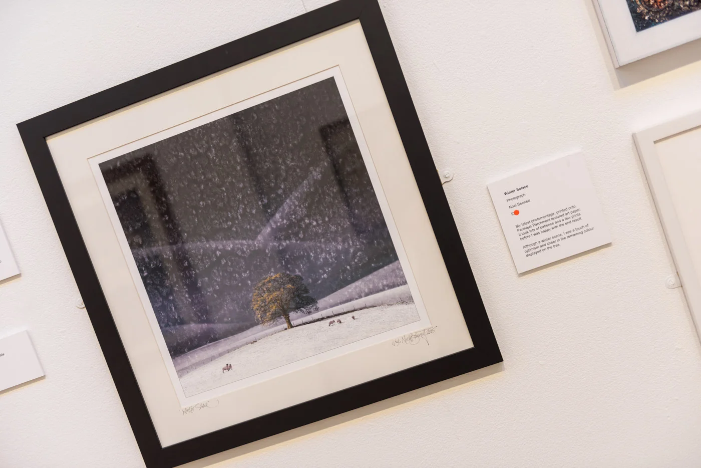 StaffordshireOpenArt2015-7854©noelbennett.jpg