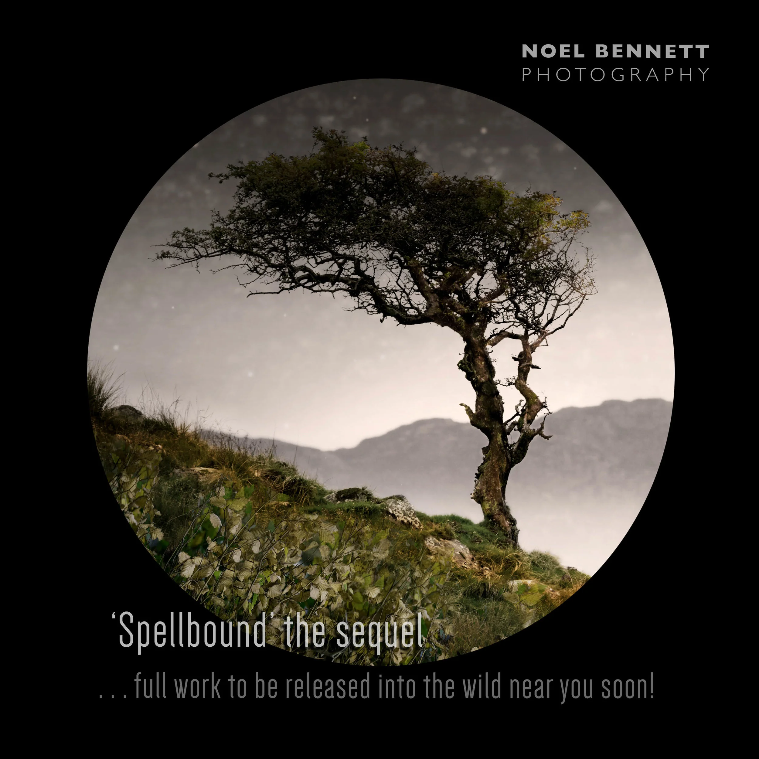 Latest Creative image . . .