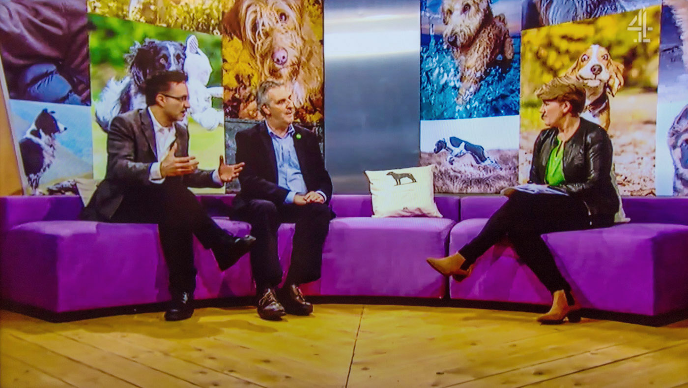 Bella on the BBC