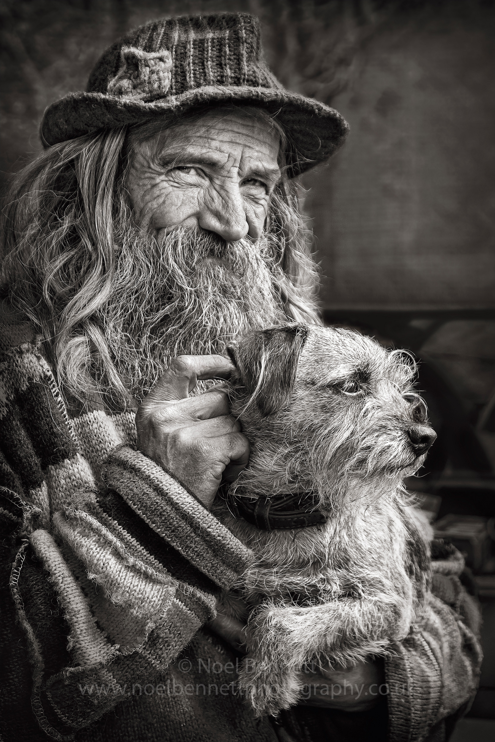 Companions