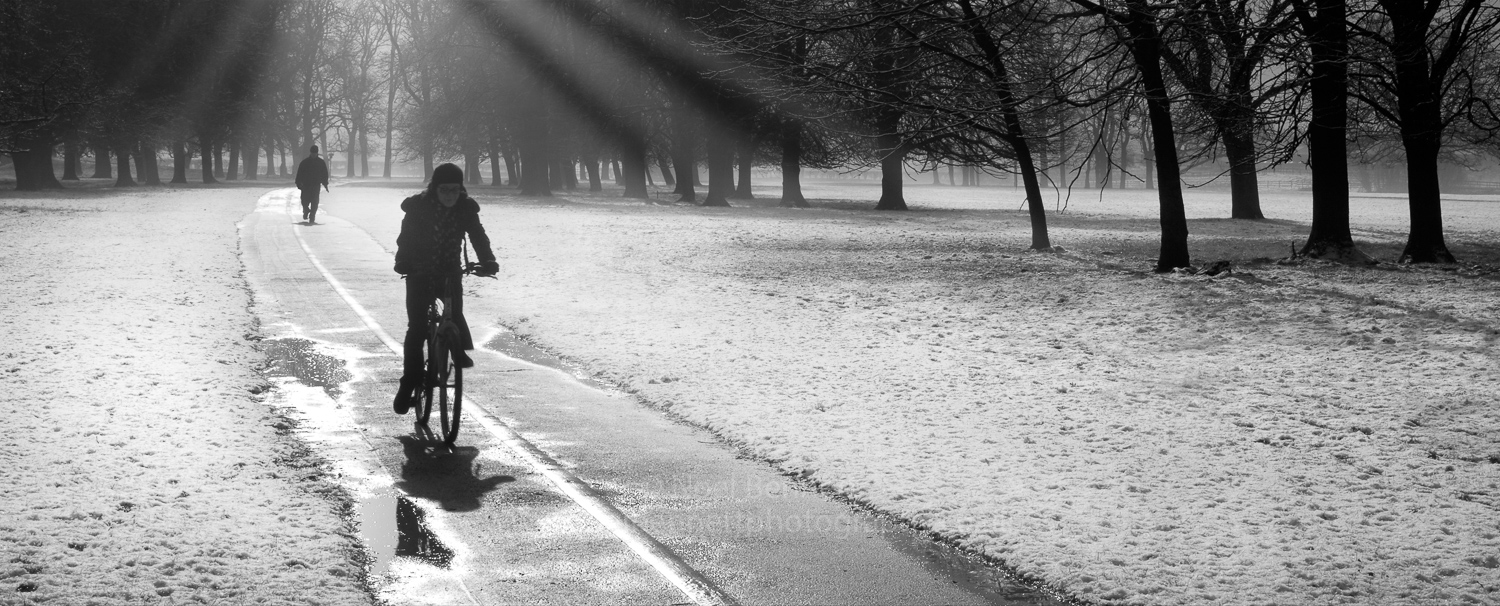 A Ride Through The Park