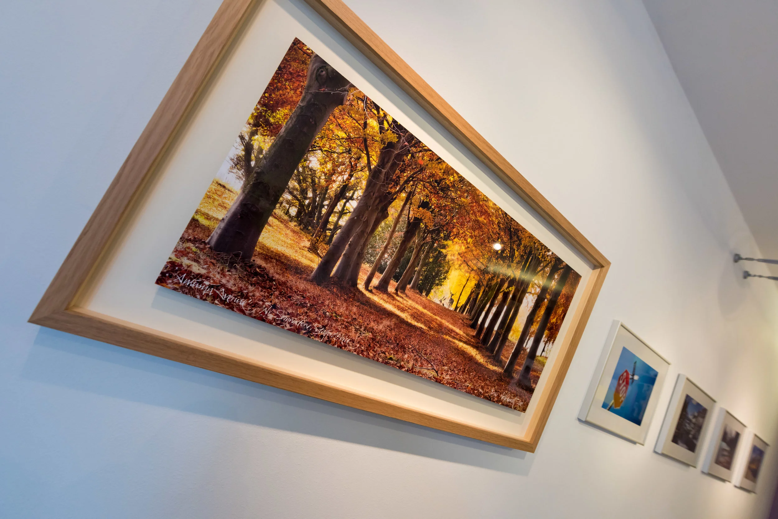 Autumn Avenue Frame Hung-9618.jpg