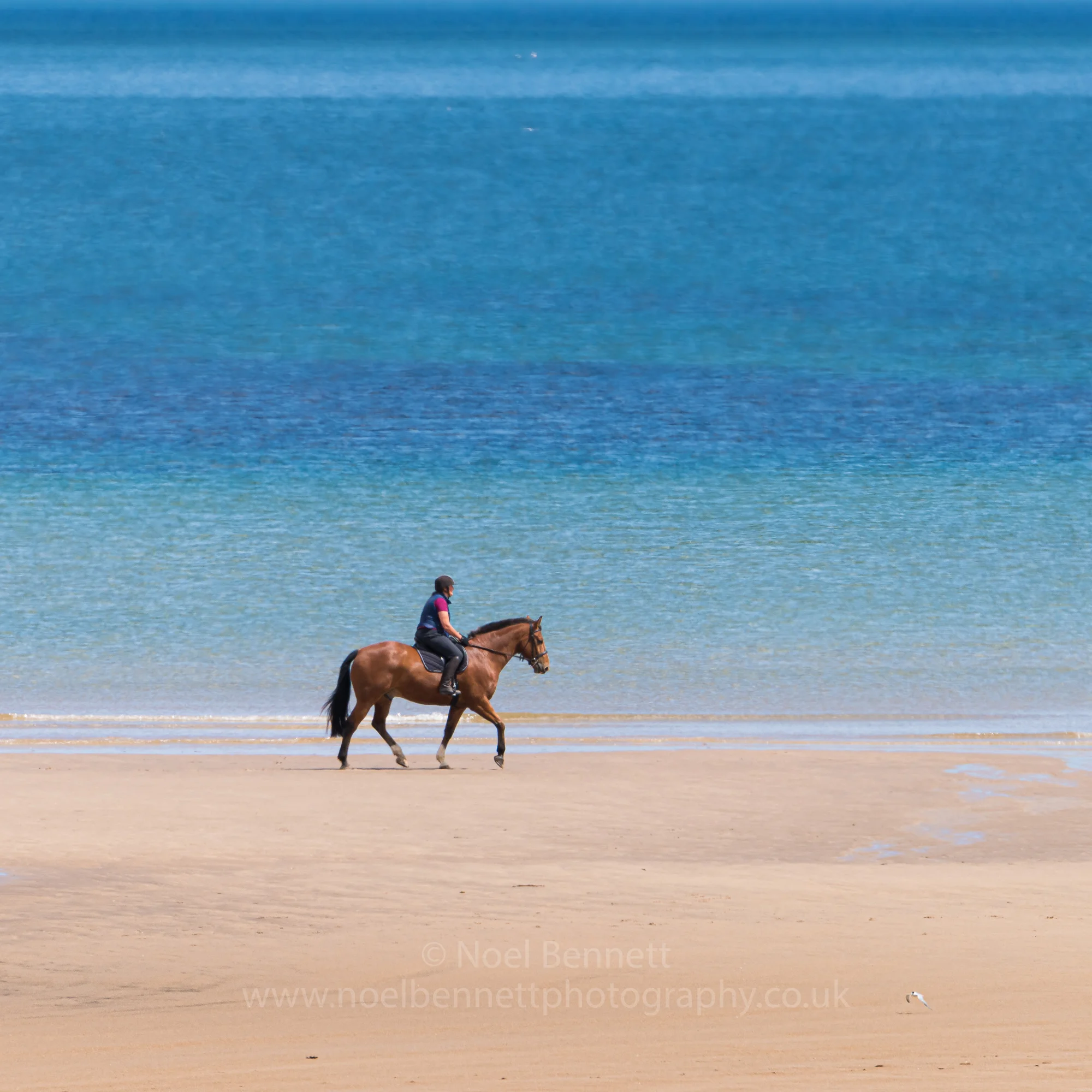 Northumberland in June