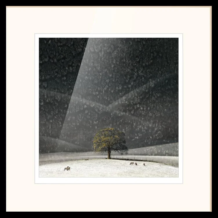 Presentation &amp; framing options now added to website