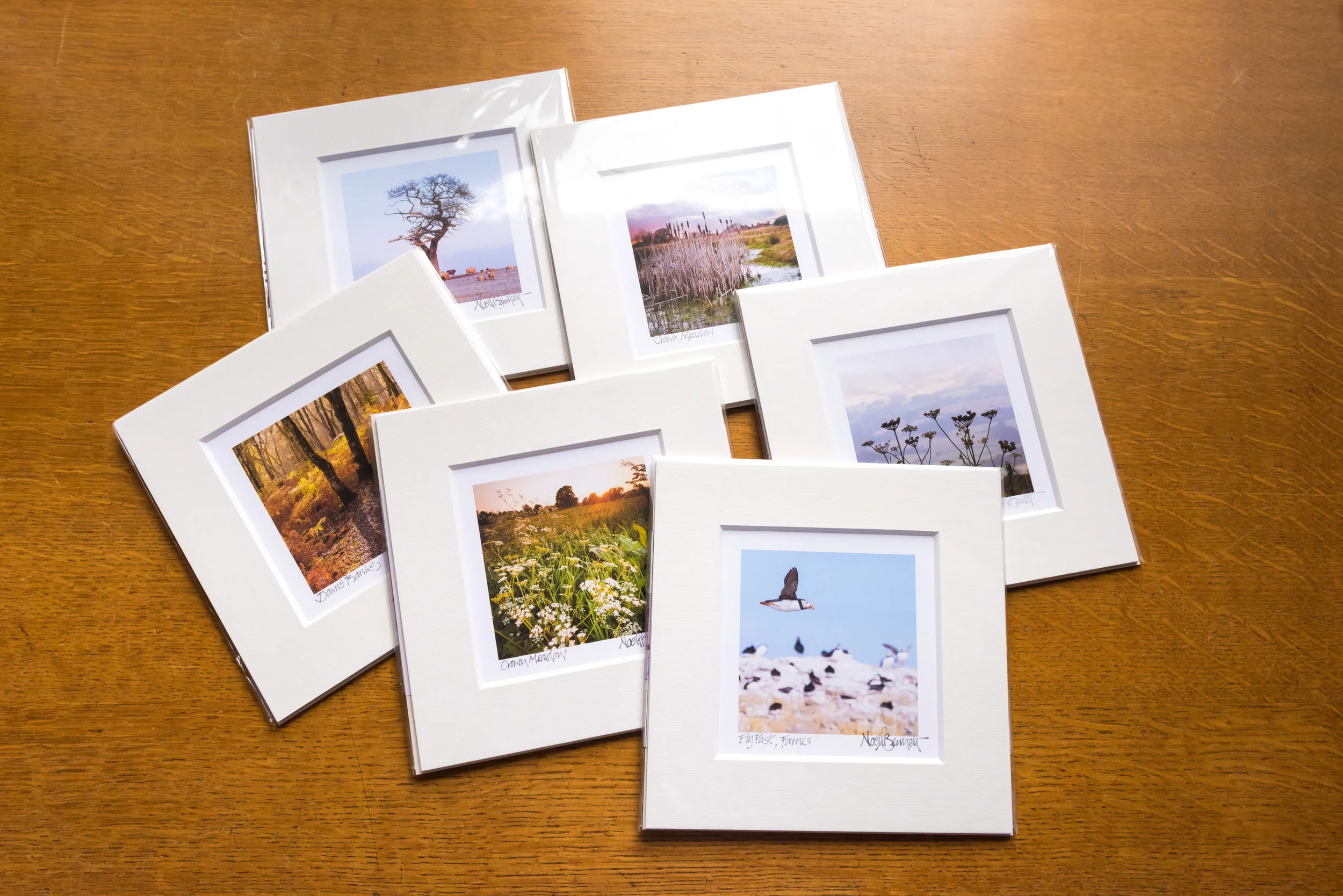 POCKET MONEY PRINTS ON SALE in GALLERY AT 12, ECCLESHALL.