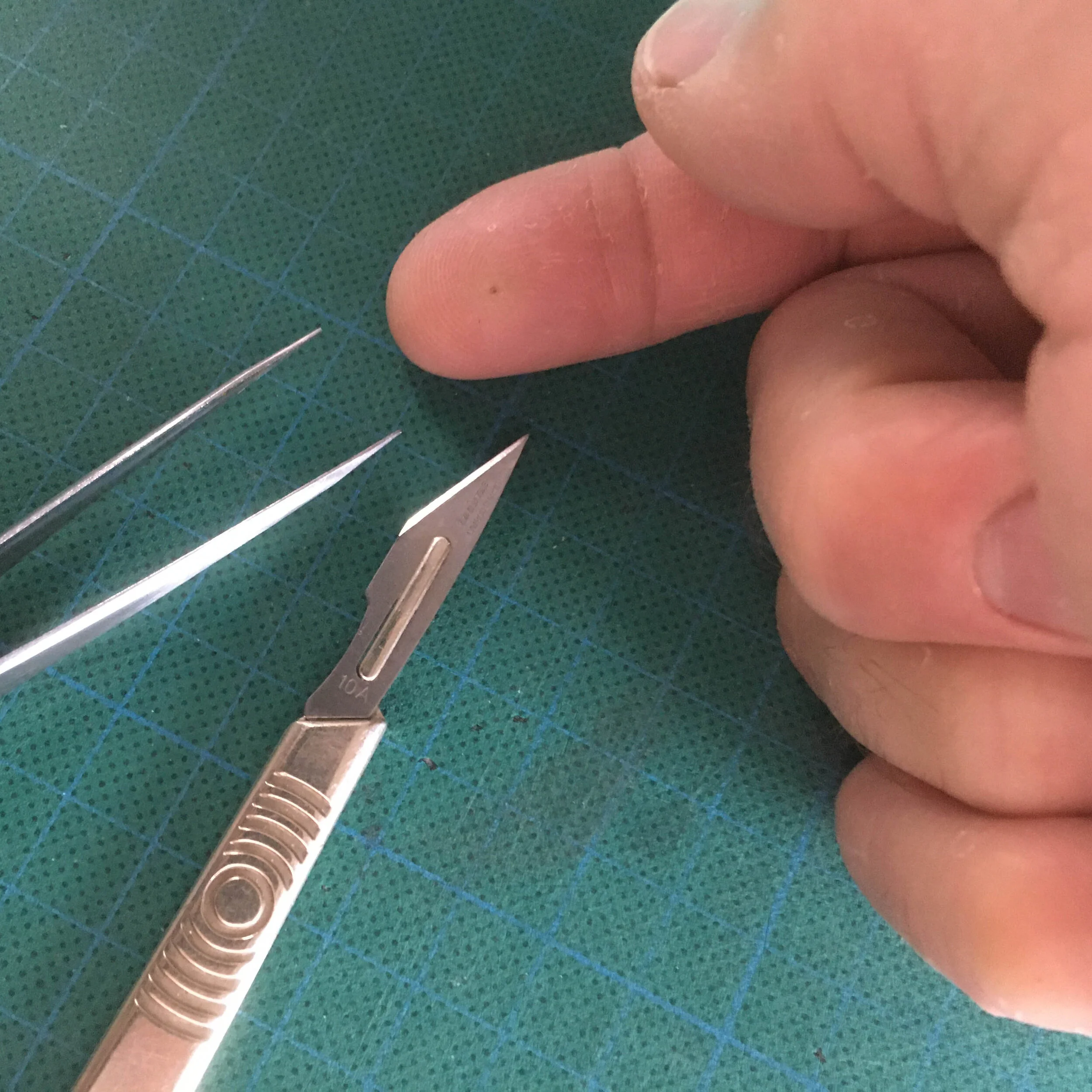 A thorn in my finger!