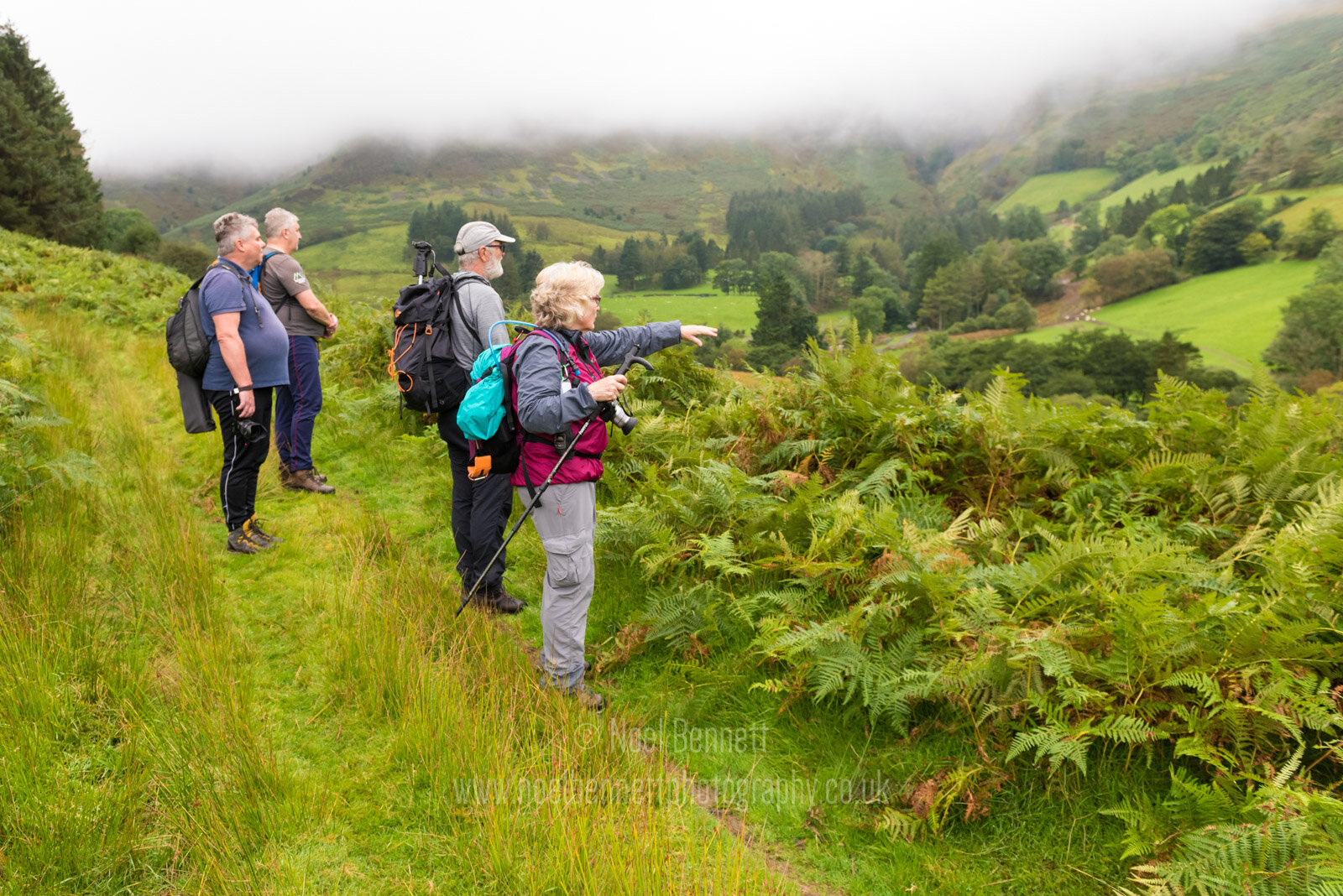 Nant Maesglas - Valley Walk-3761©noelbennett.jpg