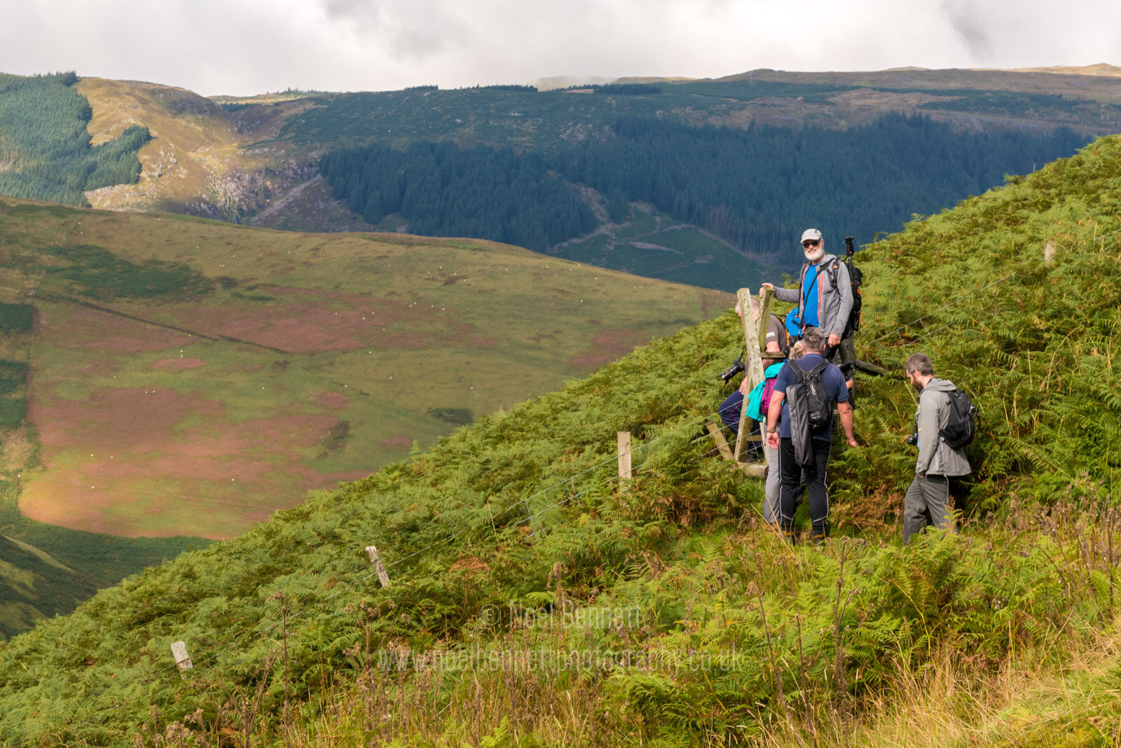 Nant Maesglas - Valley Walk-3839©noelbennett.jpg