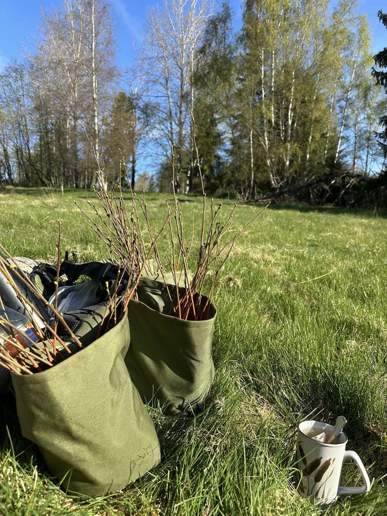 Planting1.jpg