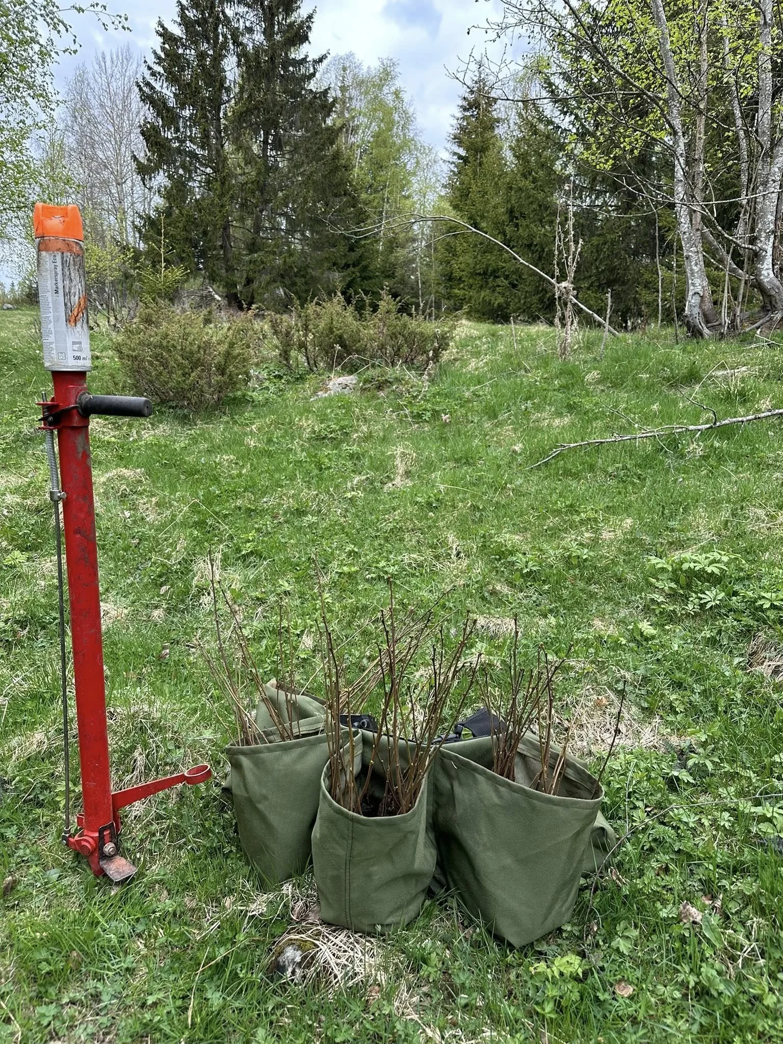 Planting4.jpg