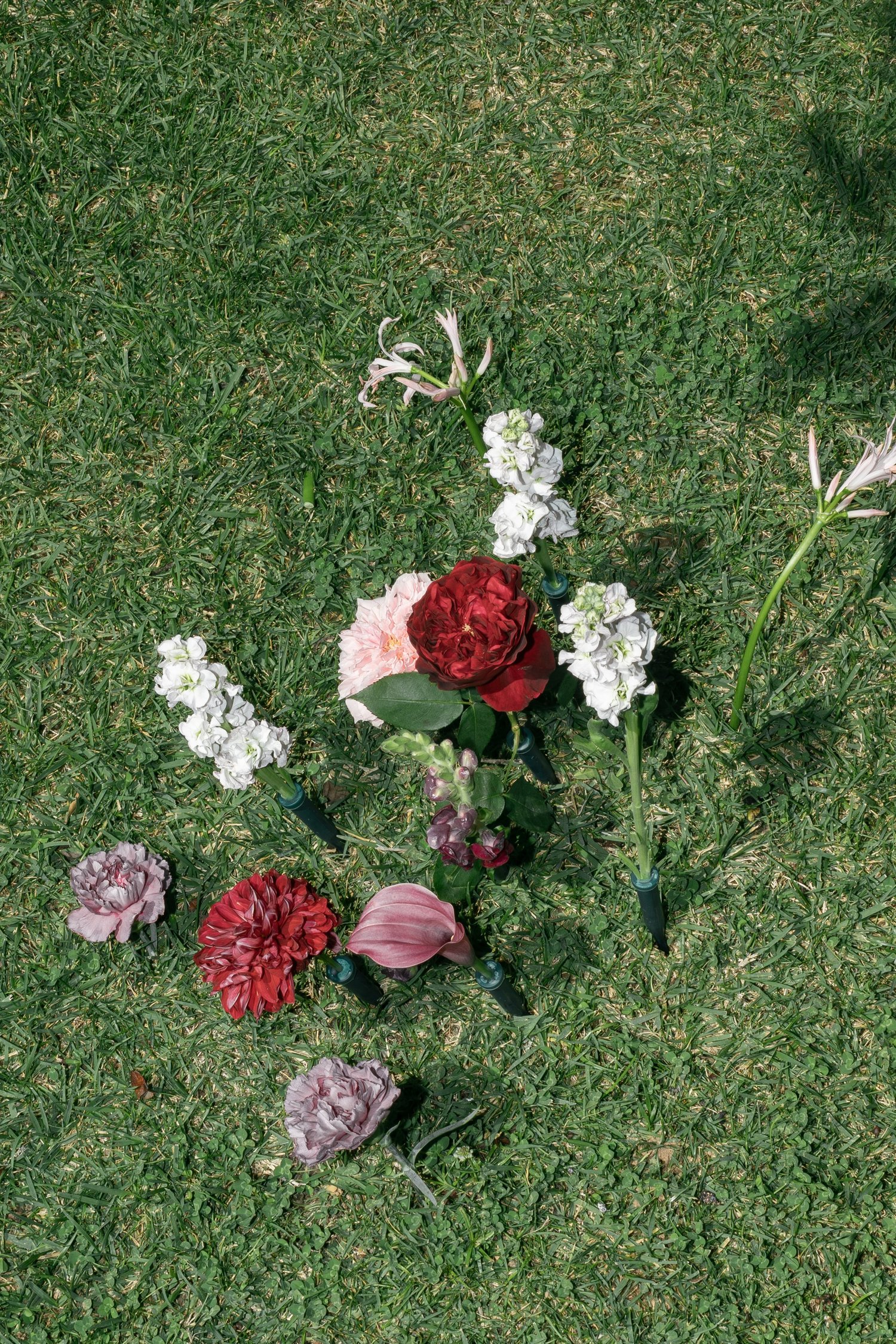 Red, pink and white wedding flowers arranged on the grass