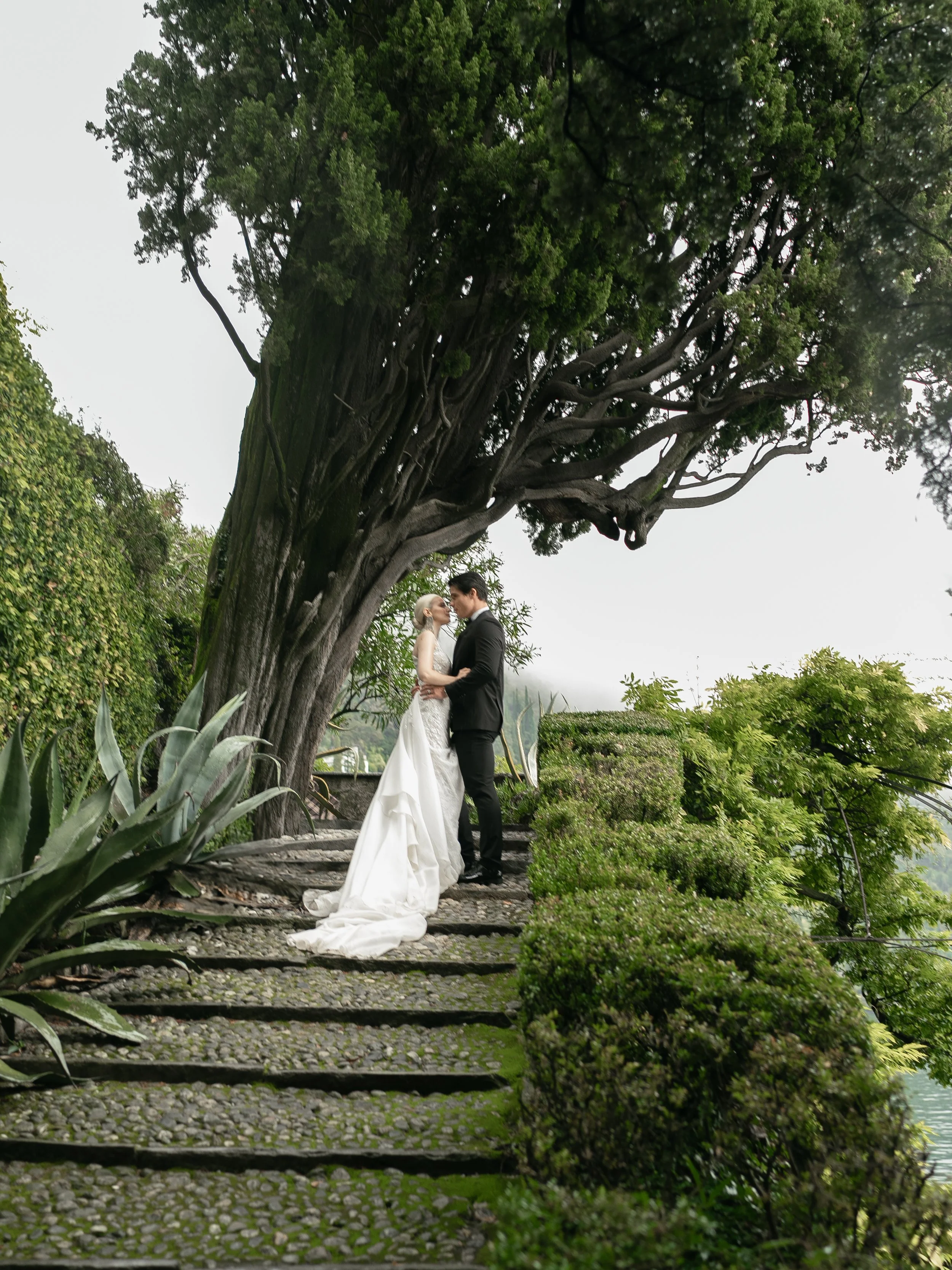 A bride and groom standing on a stone pathway underneath a large, twisted tree, sharing a romantic moment during their wedding.