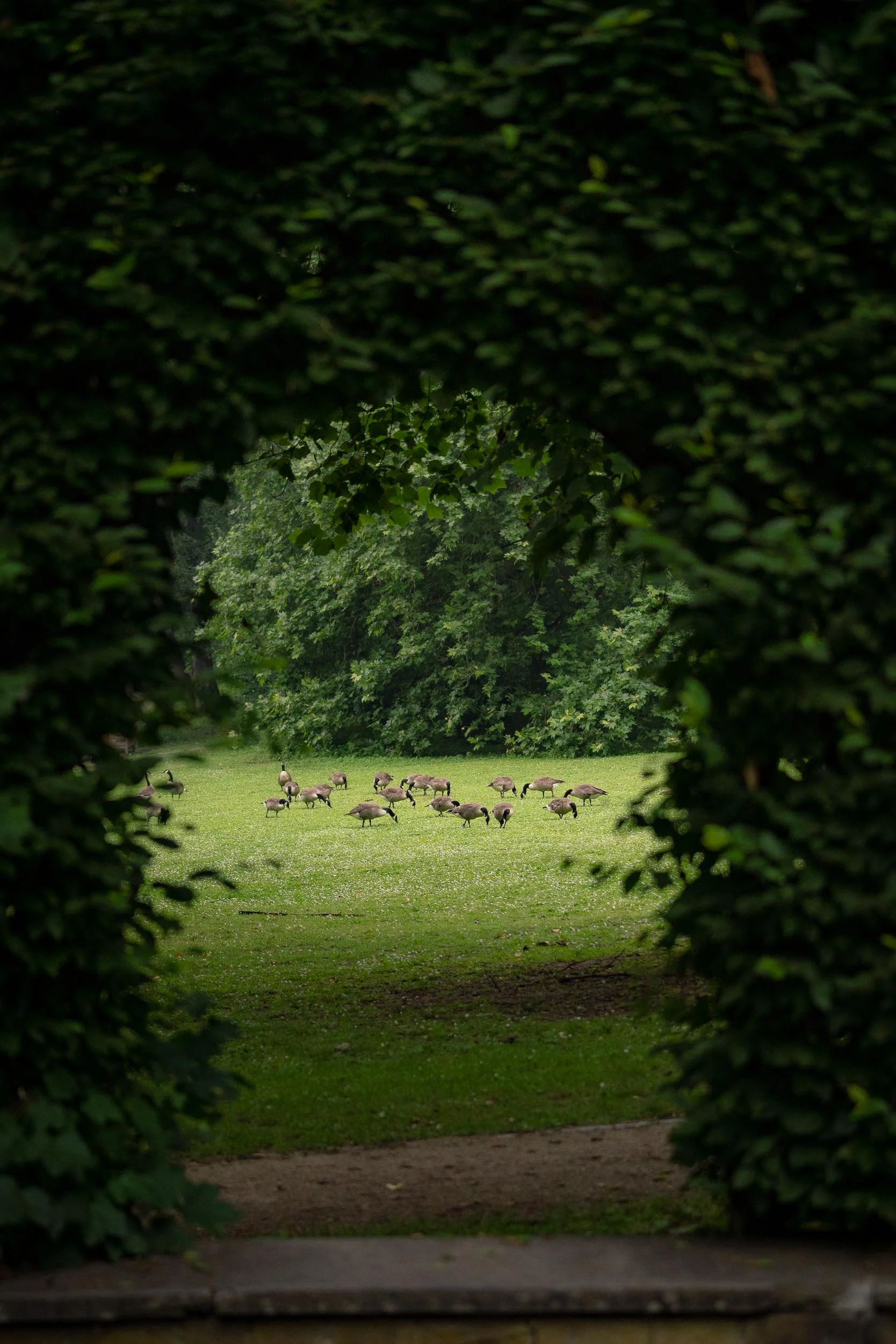 Mariage civil réalisé par un photographe de Bruxelles