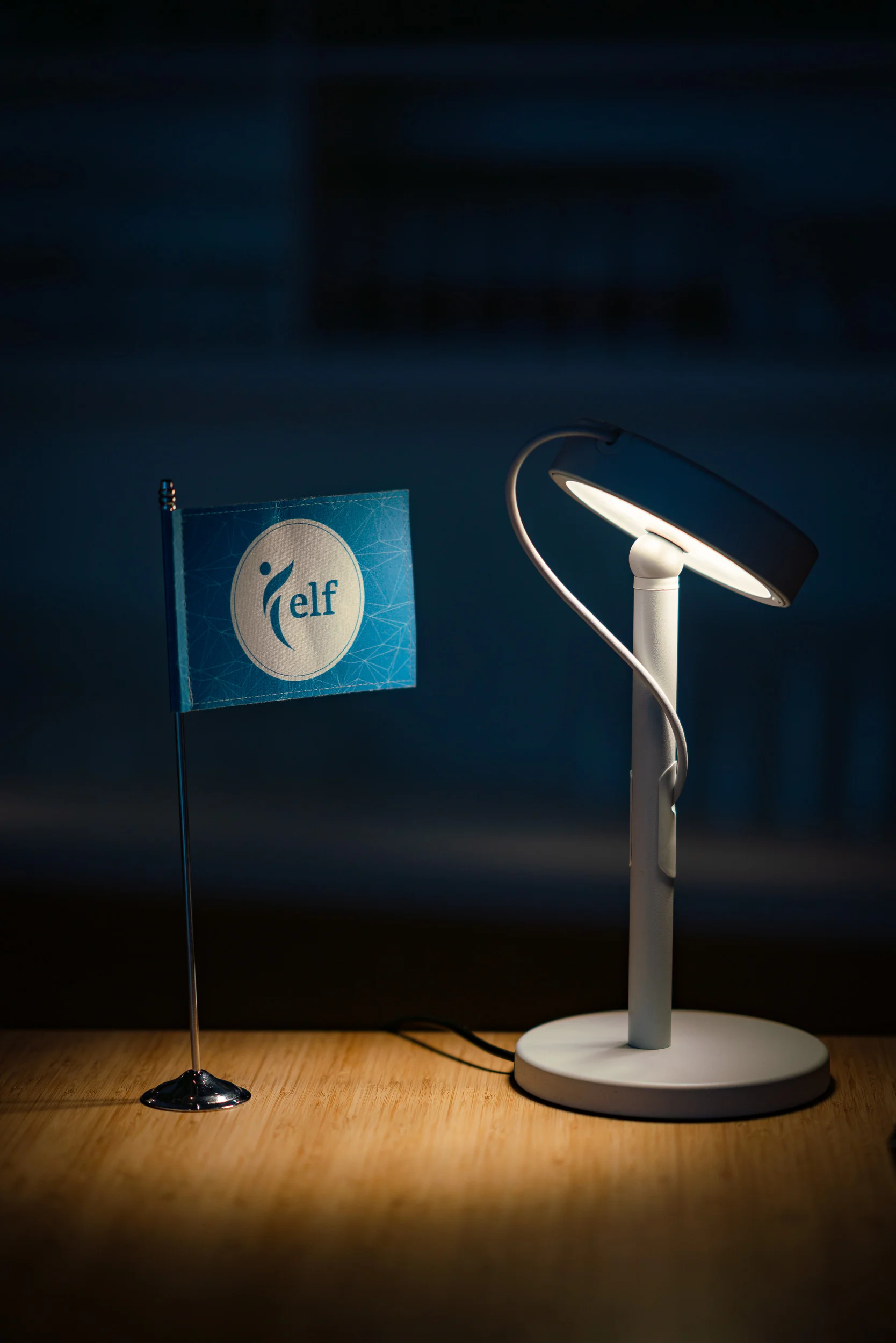 Photographie prise lors d'un séminaire de la société ELF