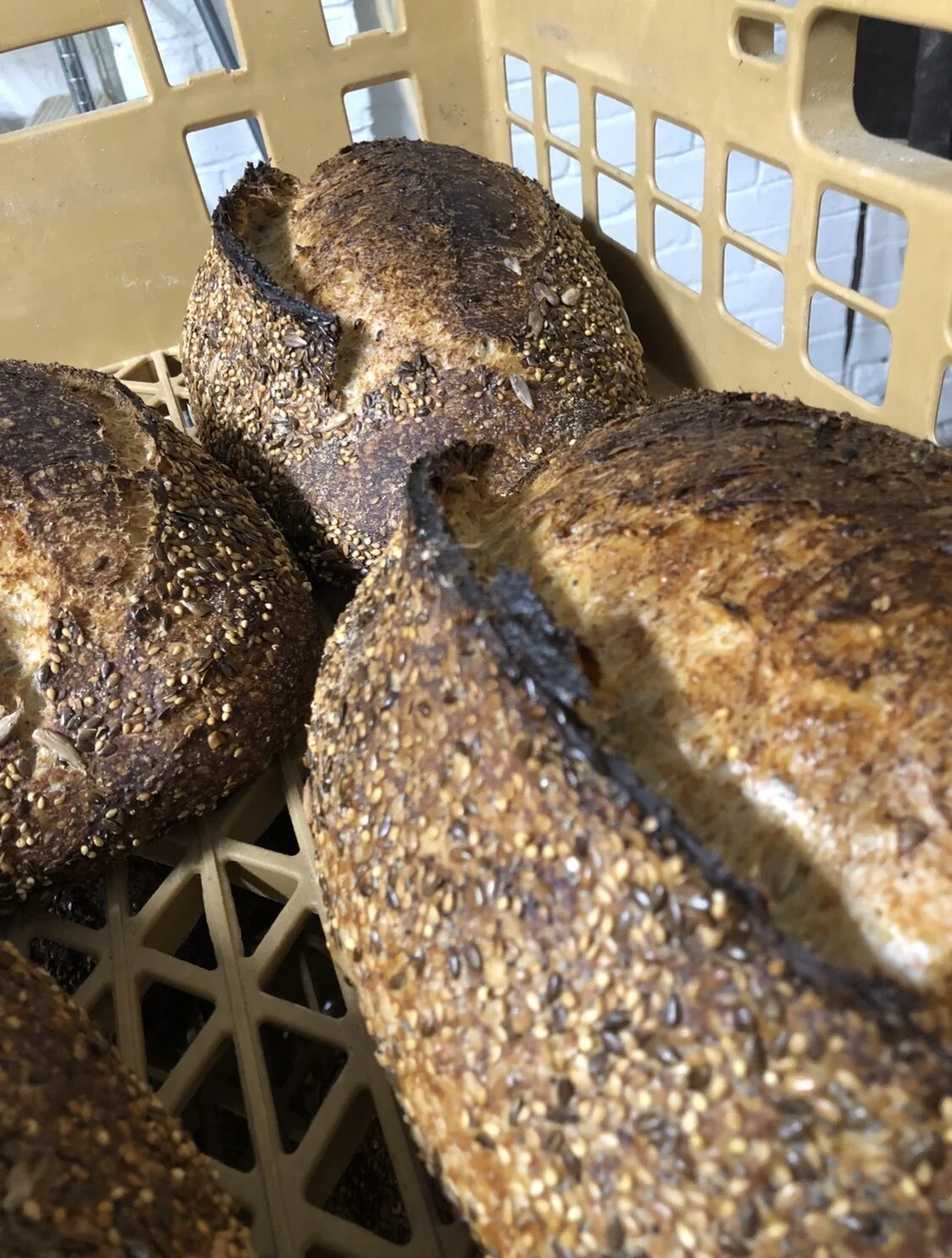 D3C15841-1B0B-4EB7-BA75-3E5218EEAB11