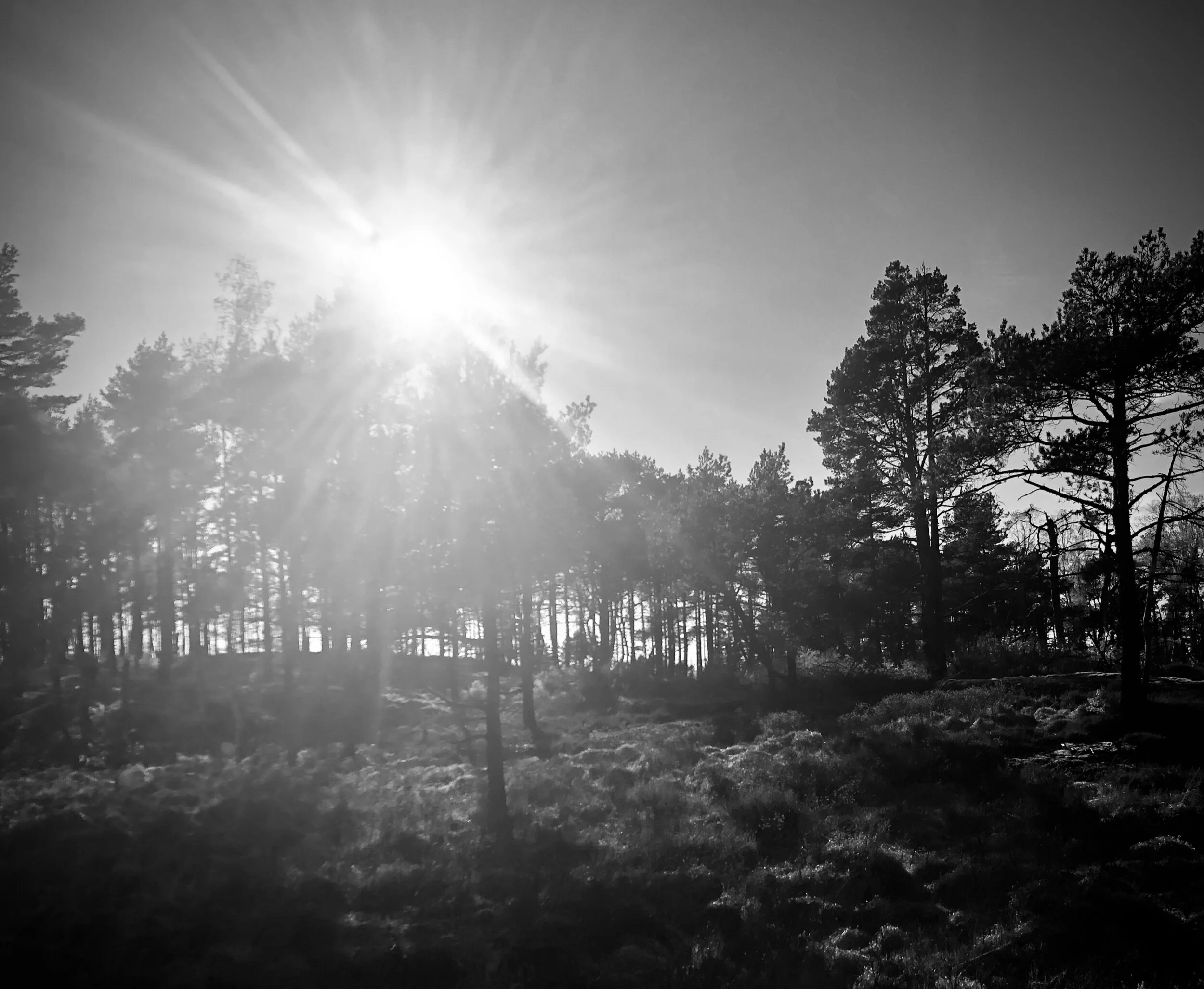 Downsizing. För lite lättare liv.