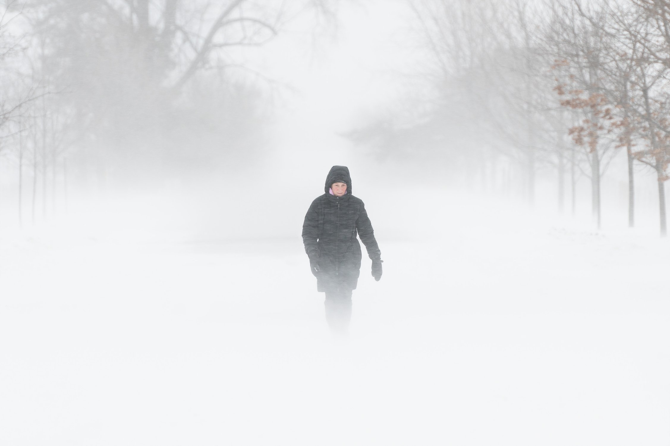  A person walks through the Central Experimental Farm during strong winds and snow squalls in Ottawa, on Saturday, Dec. 24, 2022. Environment Canada has issued a winter storm warning for the region. THE CANADIAN PRESS/Spencer Colby 