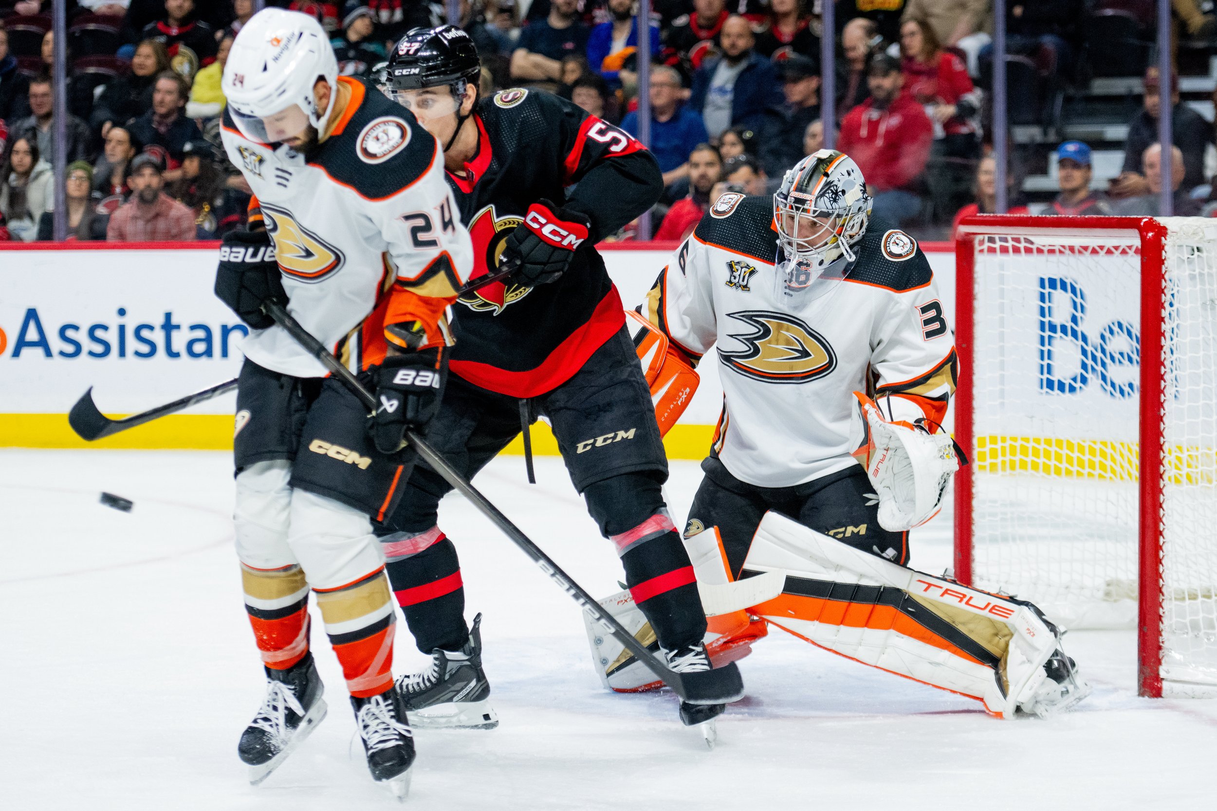  Anaheim Ducks goaltender John Gibson (36) searches for the puck as Ottawa Senators centre Shane Pinto (57) and Anaheim Ducks centre Bo Groulx (24) fight for control during the first period of regular season NHL hockey action in Ottawa, on Thursday, 