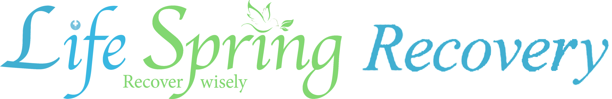 Locations Life Spring Recovery