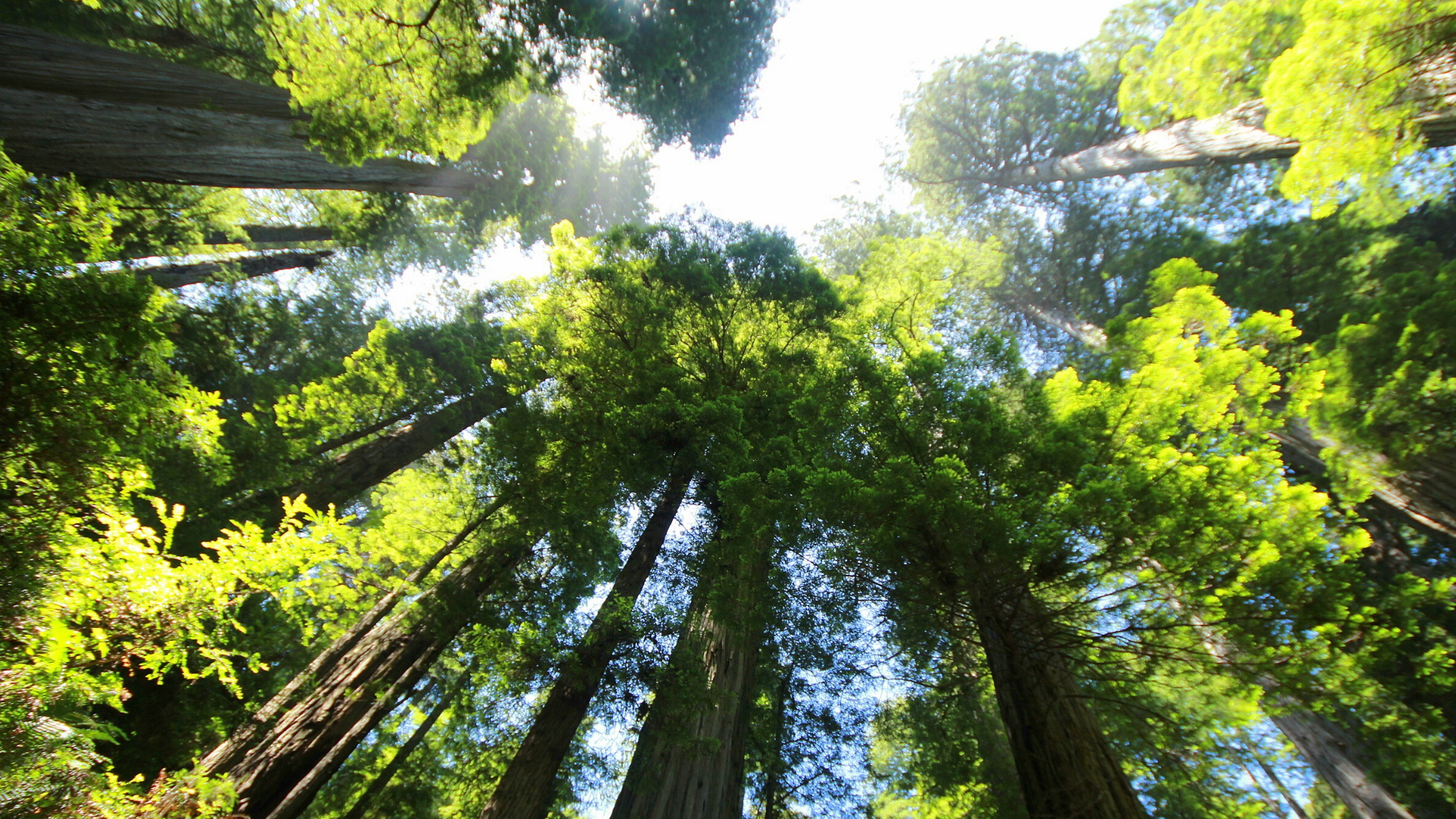 Reciprocal Consideration