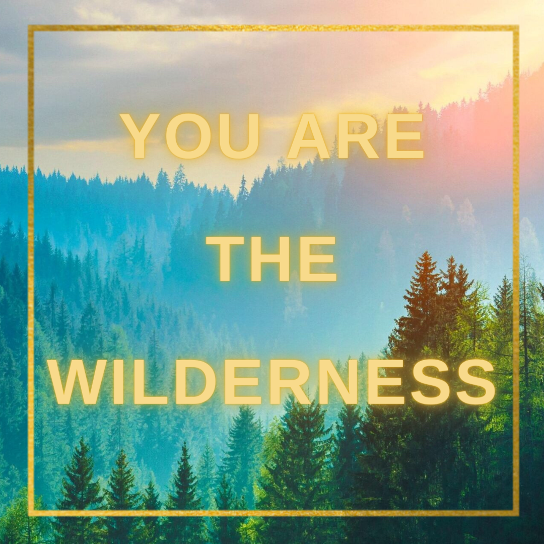 You Are The Wilderness