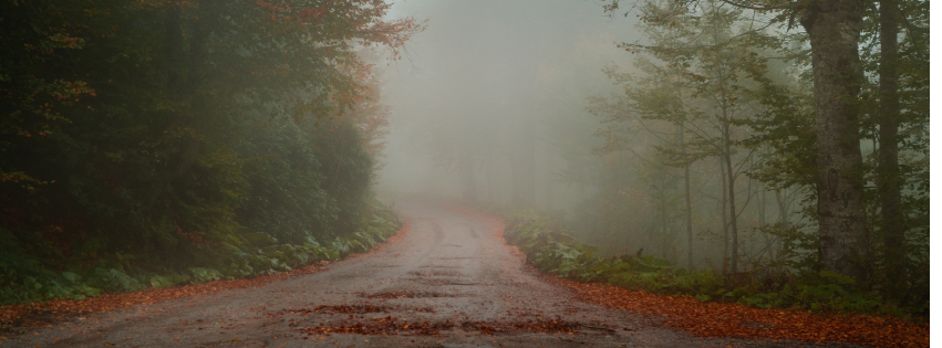 Storytelling Into 2026